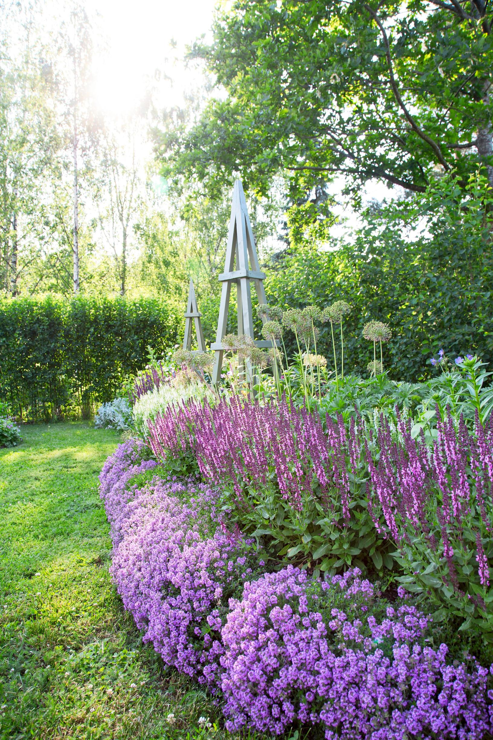 Easy grow perennial flowers