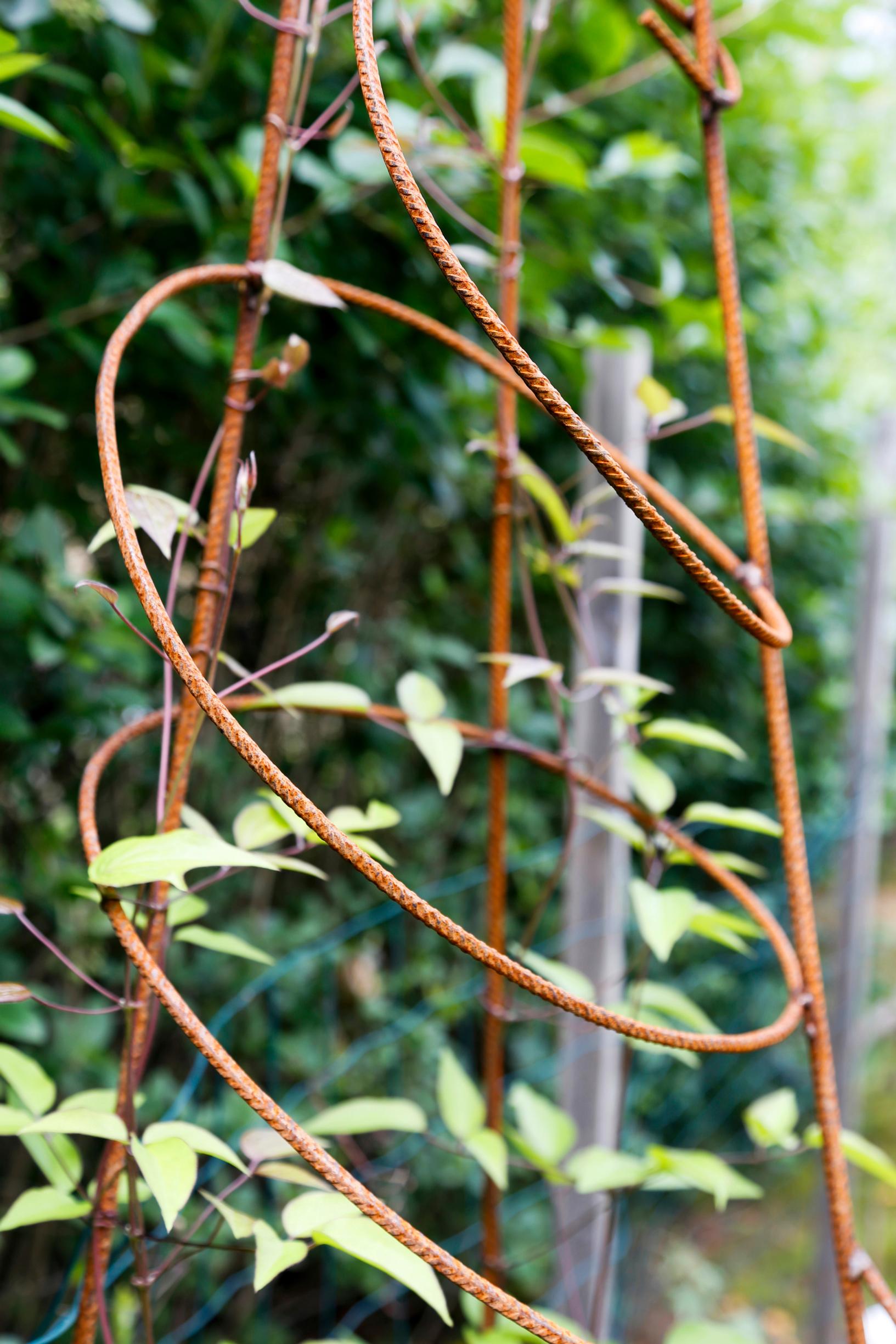Support for climbing plants