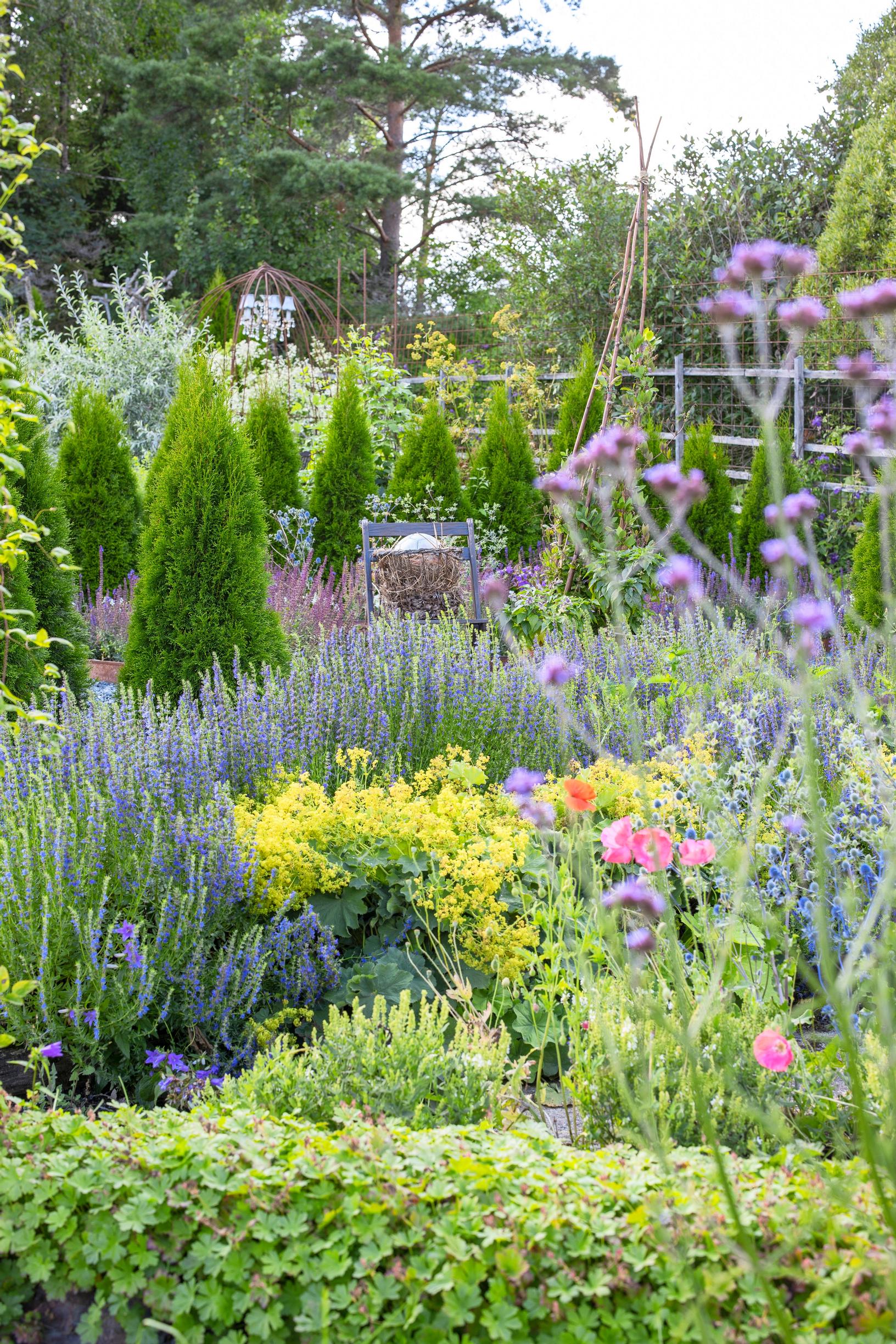 A colorful display in the garden