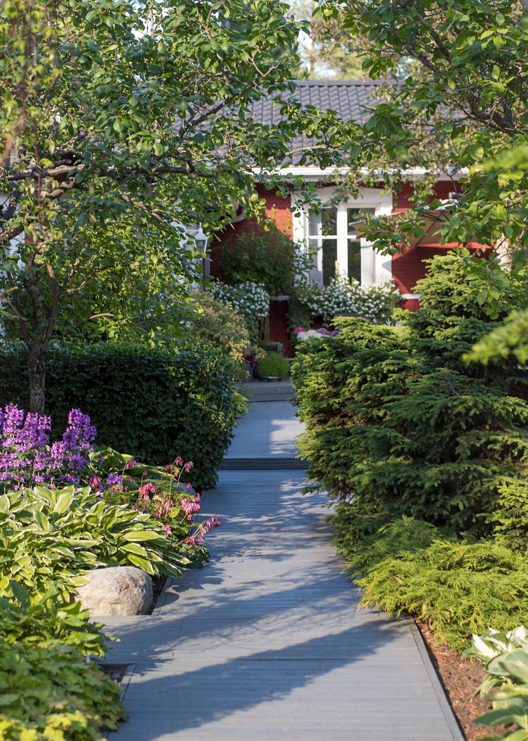 A patio that winds between plantings.