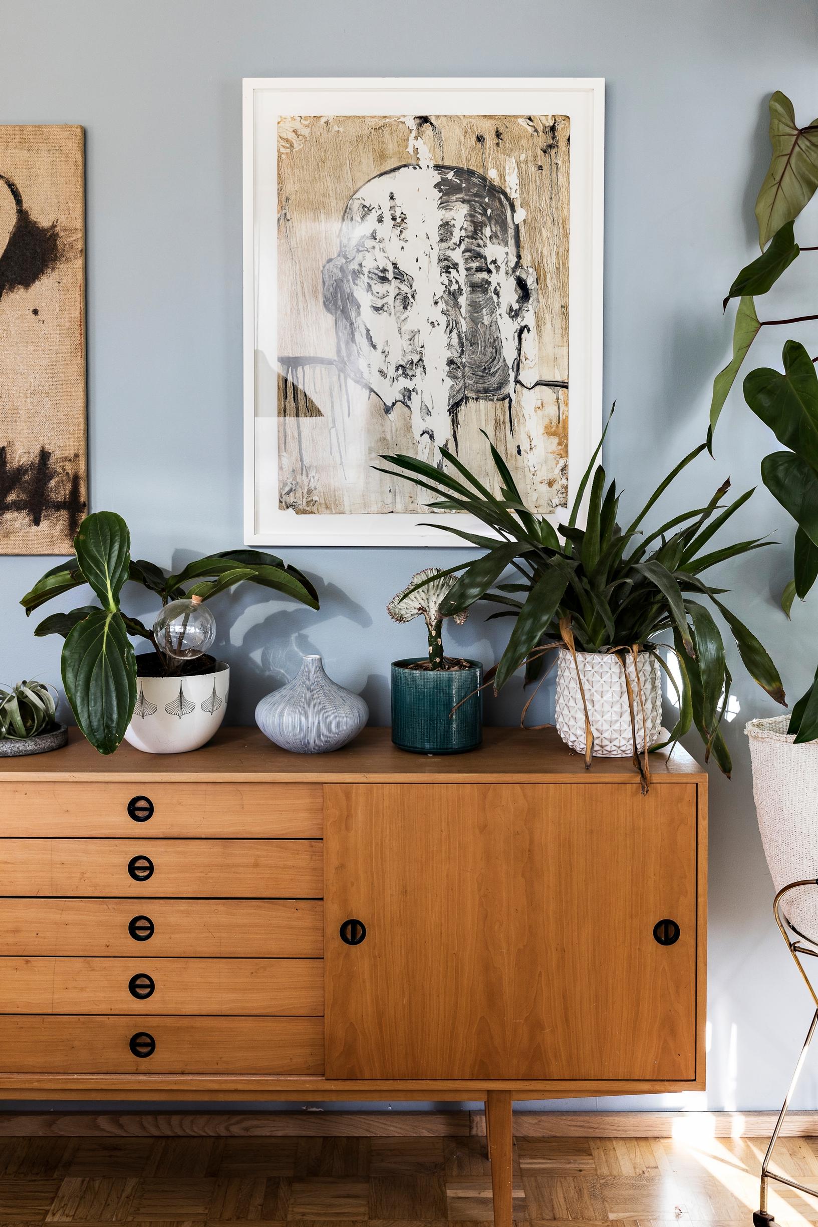 Arranging plants indoors: houseplants on a sideboard