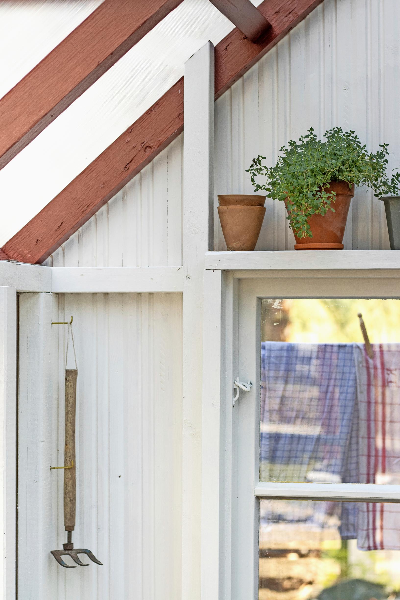 Photo of the greenhouse interior and wall structure.