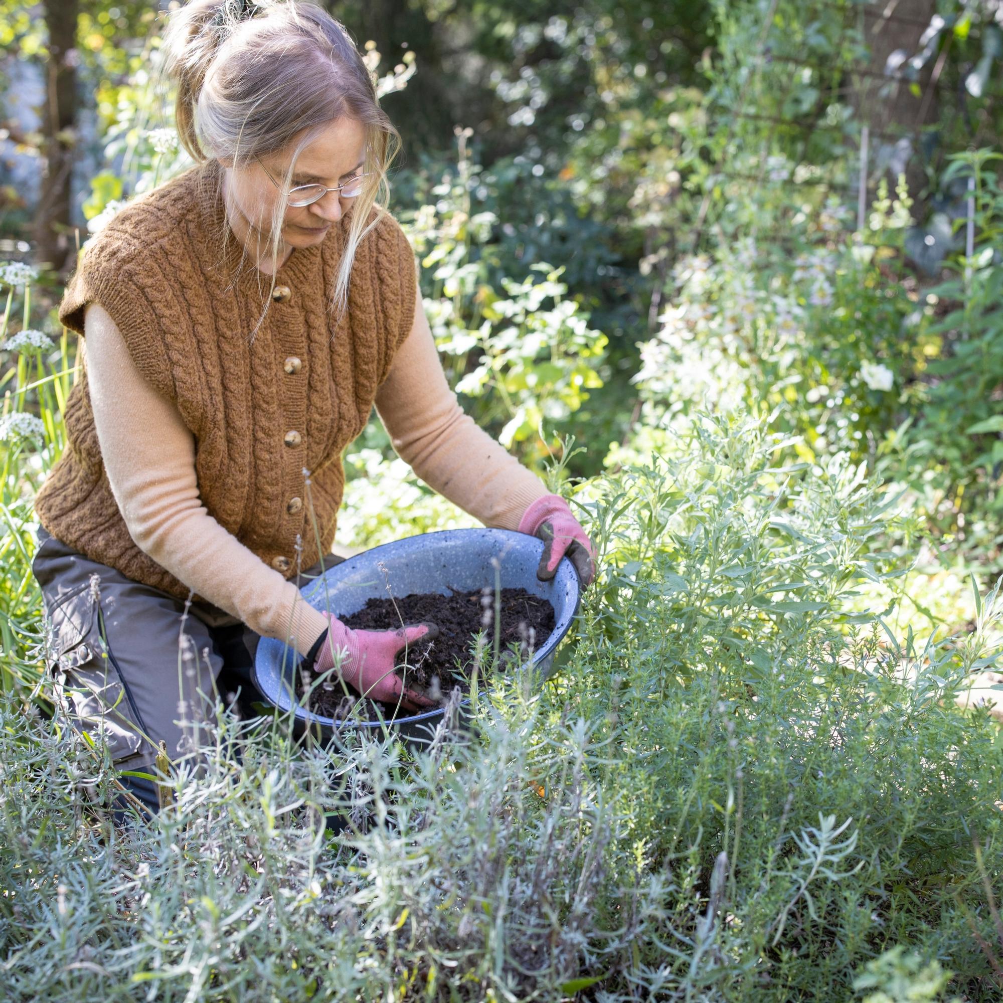 Autumn compost soil: how to make the most of this garden gold in raised beds, as mulch, and in plantings