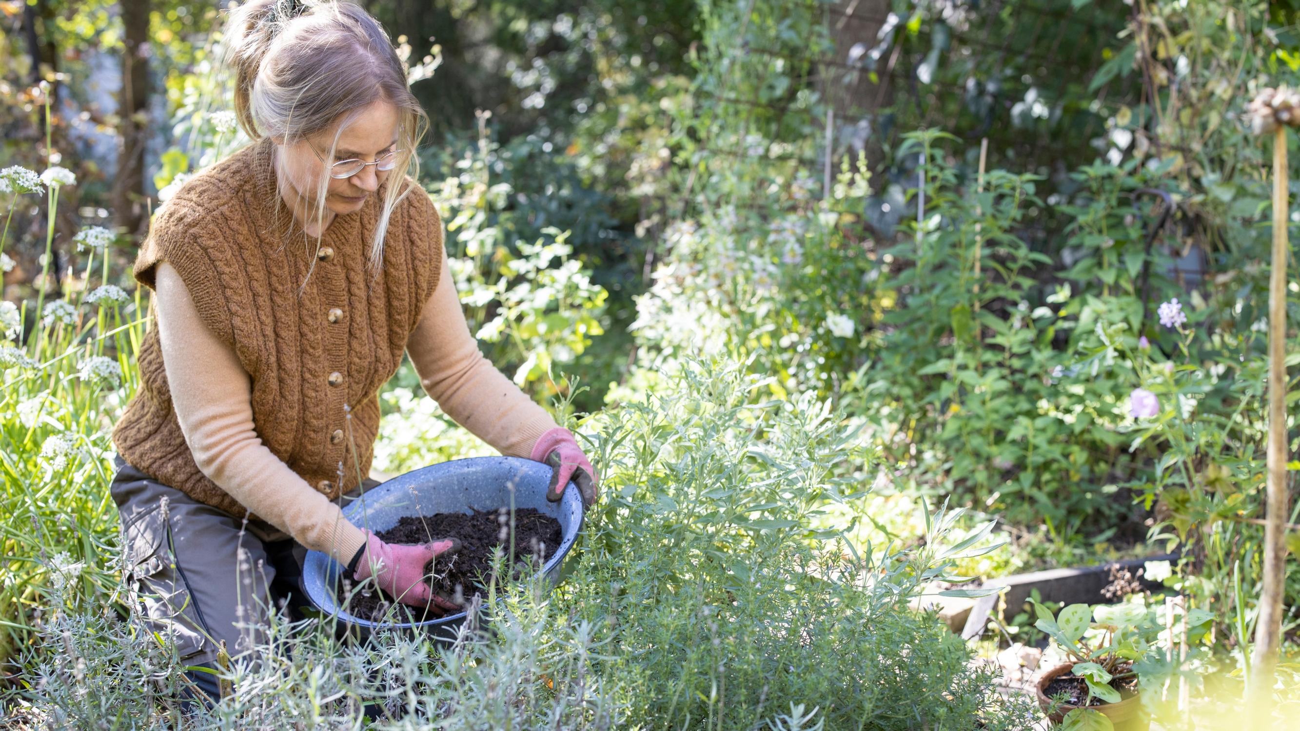 Autumn compost soil: how to make the most of this garden gold in raised beds, as mulch, and in plantings