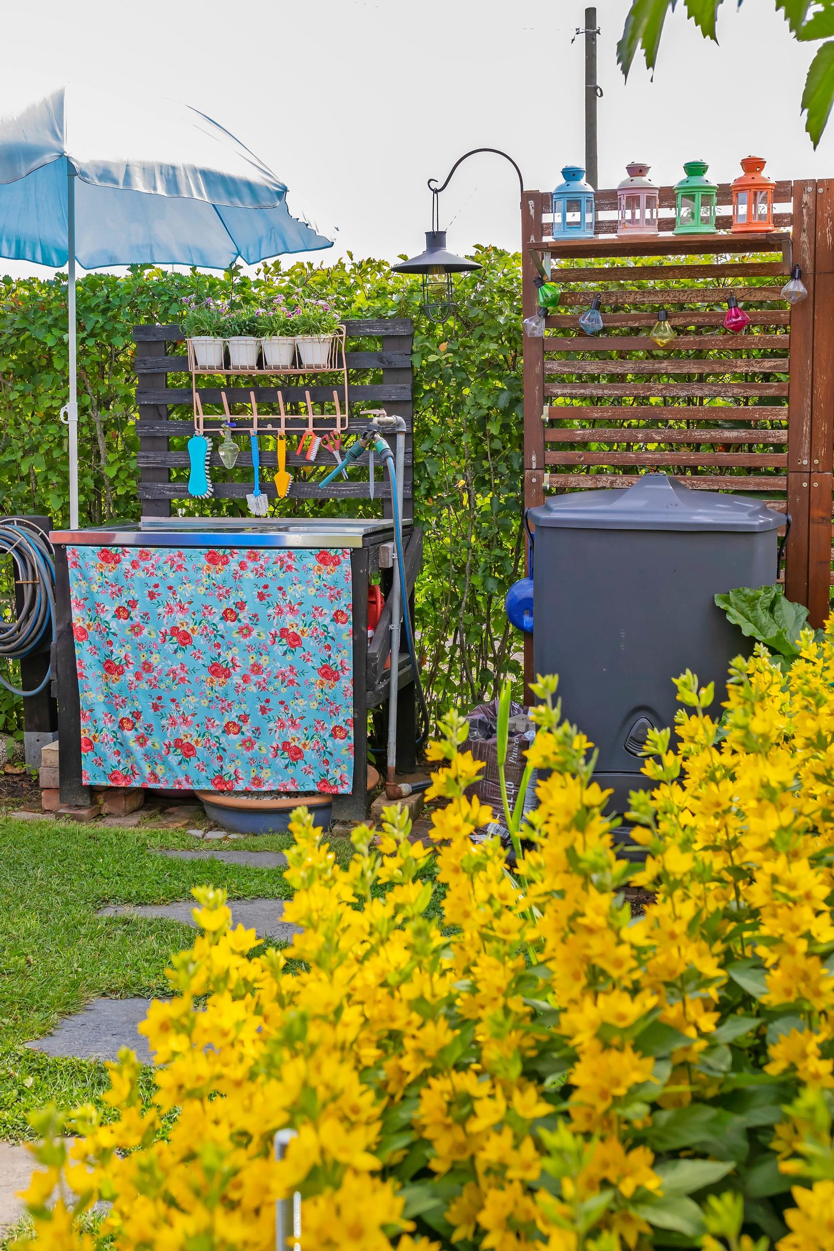 yellow loosestrife, a wash station, and a compost bin