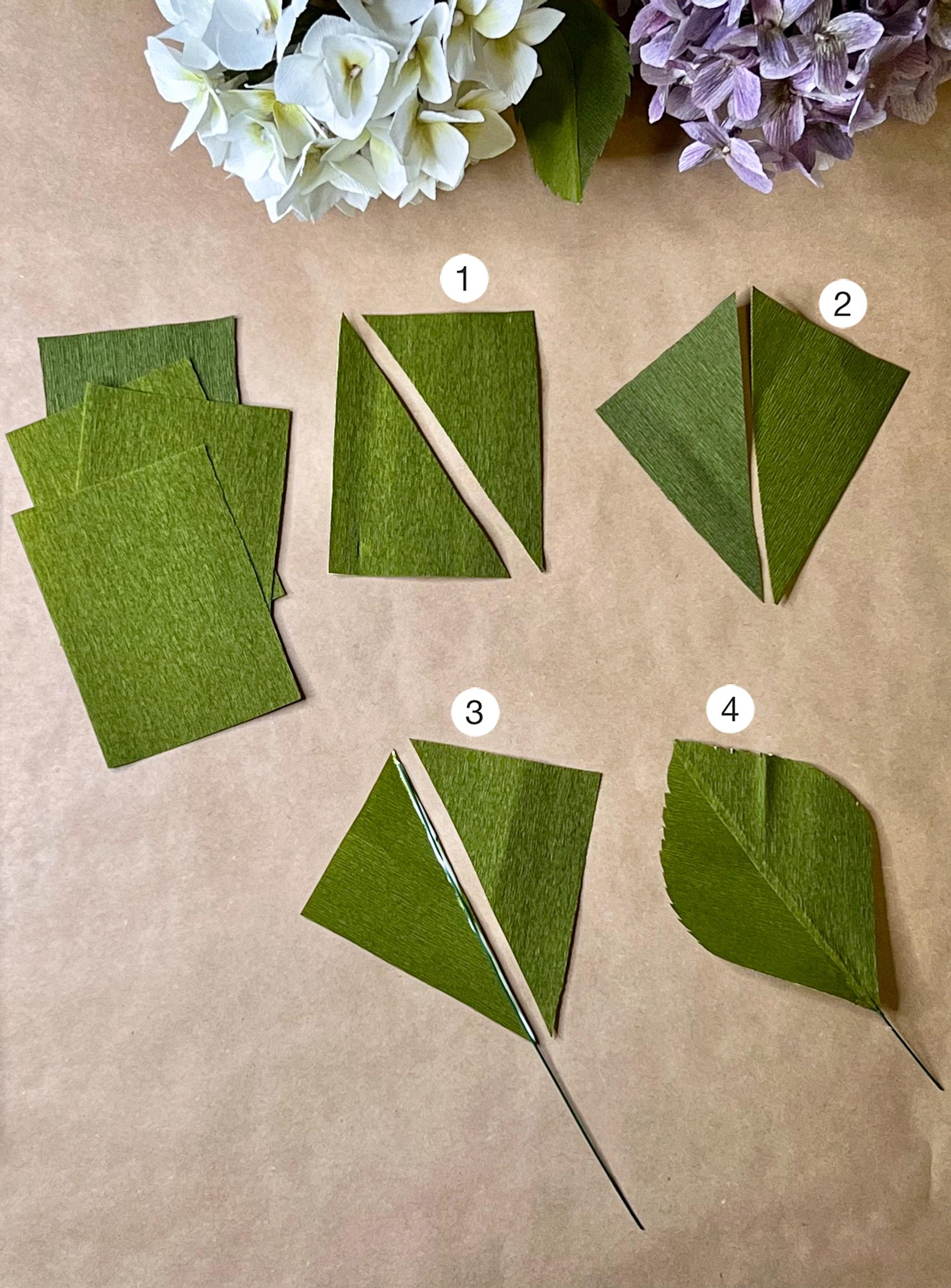 Paper hydrangea leaves
