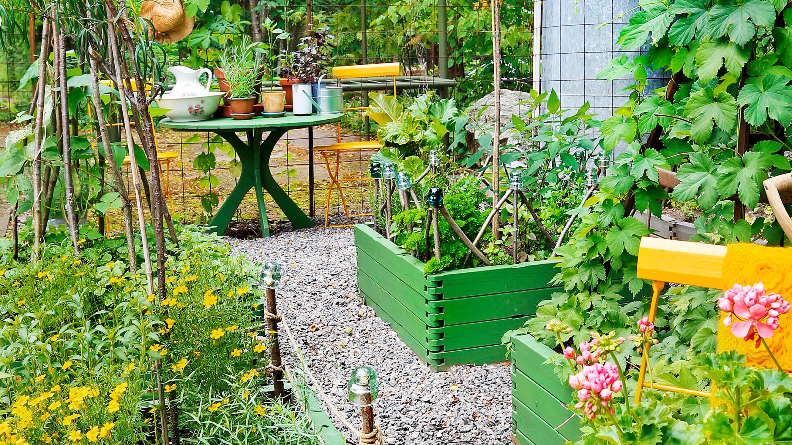 5 x budget-friendly upcycled garden ideas—grow a thriving veggie patch from store-bought herbs