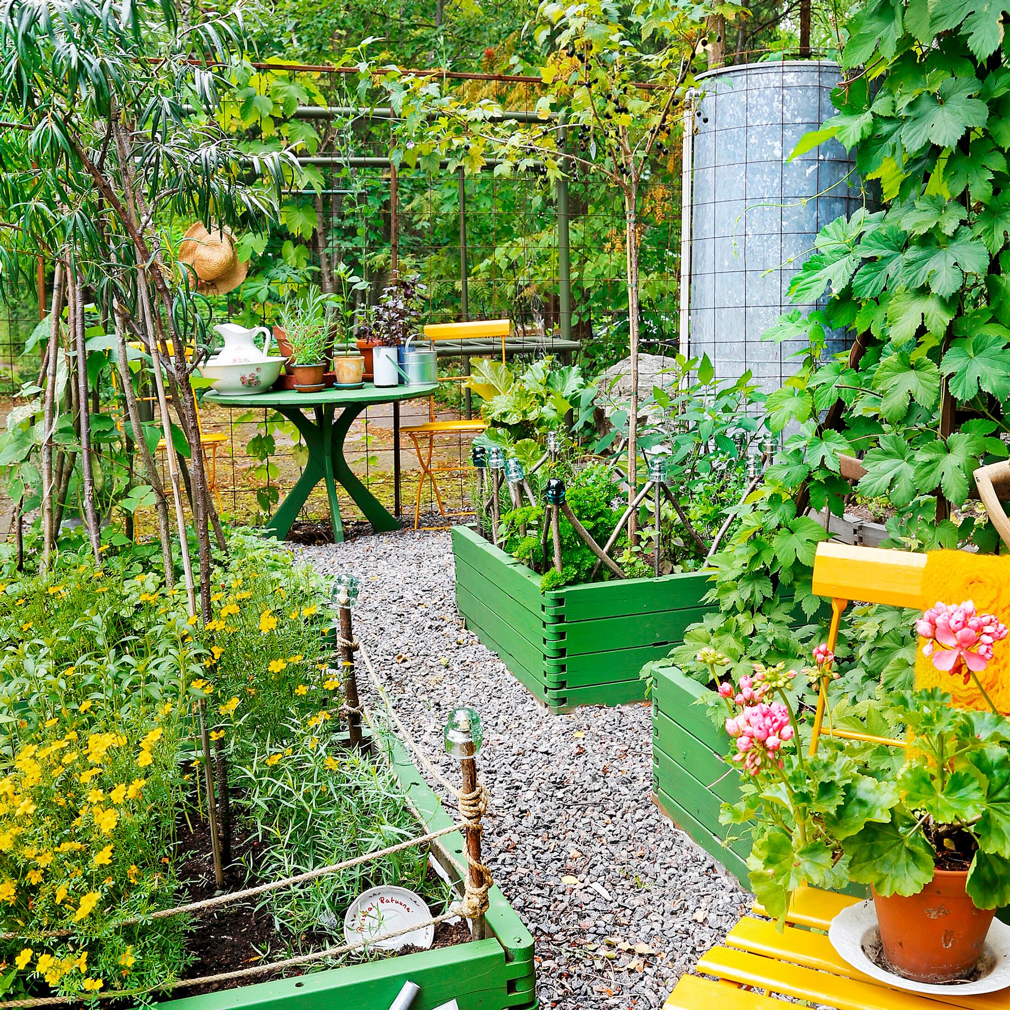 5 x budget-friendly upcycled garden ideas—grow a thriving veggie patch from store-bought herbs
