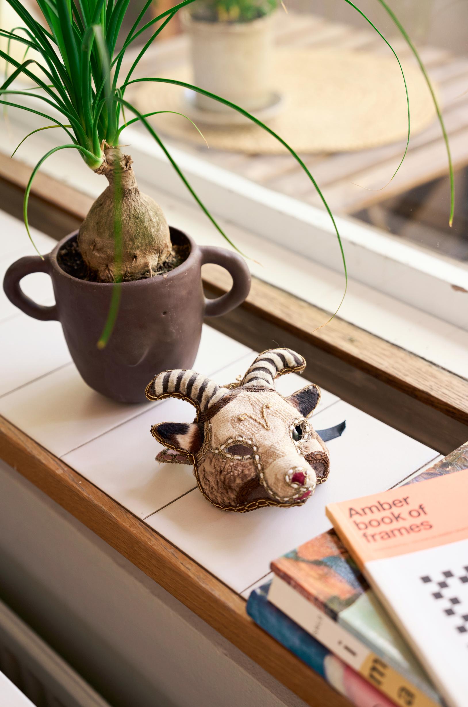 Photo of a houseplant and a mask on the windowsill.