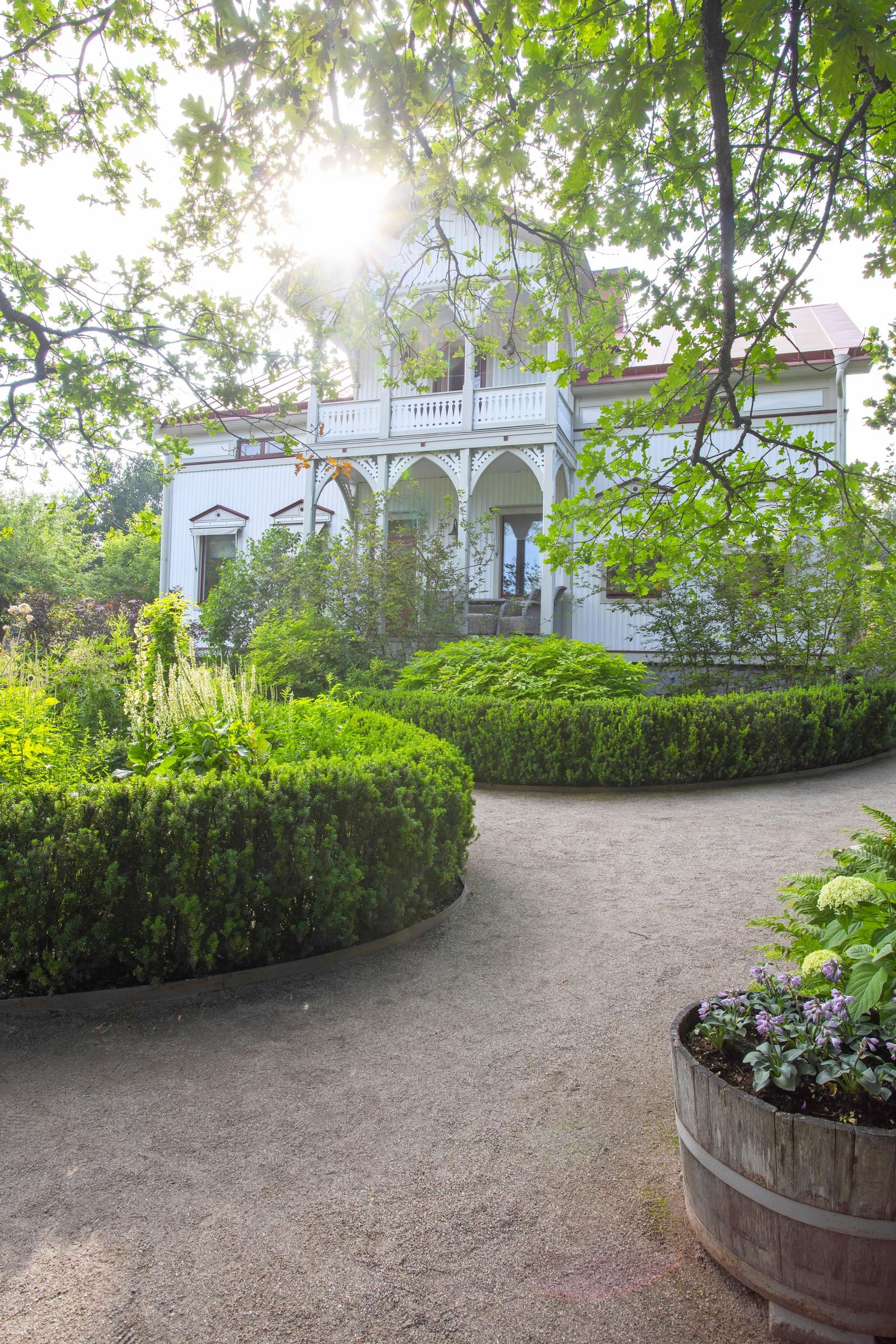 Soft, organic shapes echo through the garden’s views. In the front pot, ‘Blue Mouse Ears’ hostas bloom.