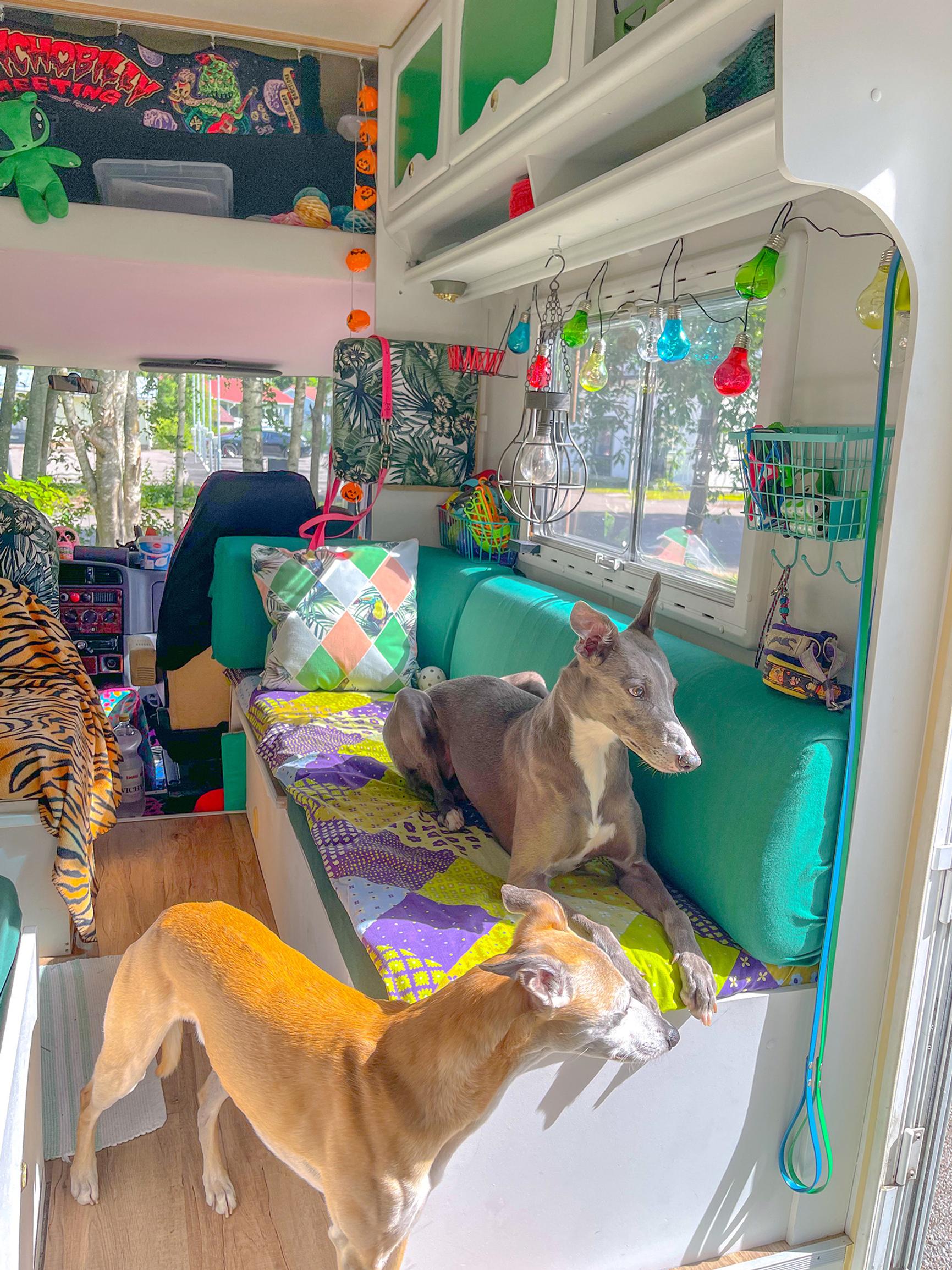 Spain is calling! Mira and Mikko have refurbished their RV into a bright, colorful home on the road for themselves and their dogs