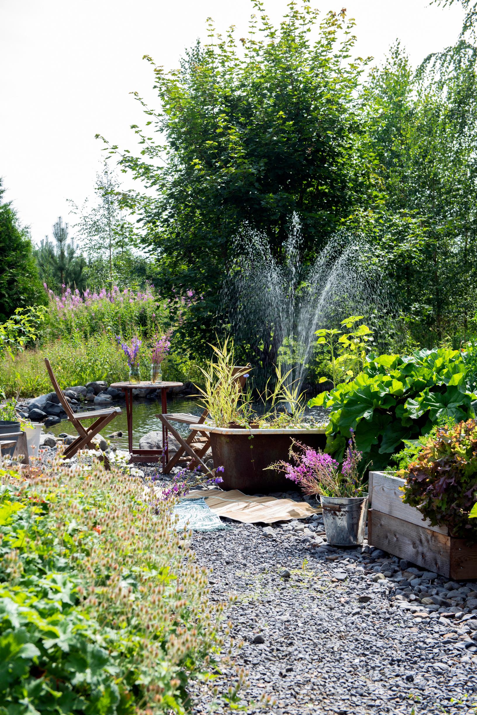 The fountain adds a striking feature to the garden pond