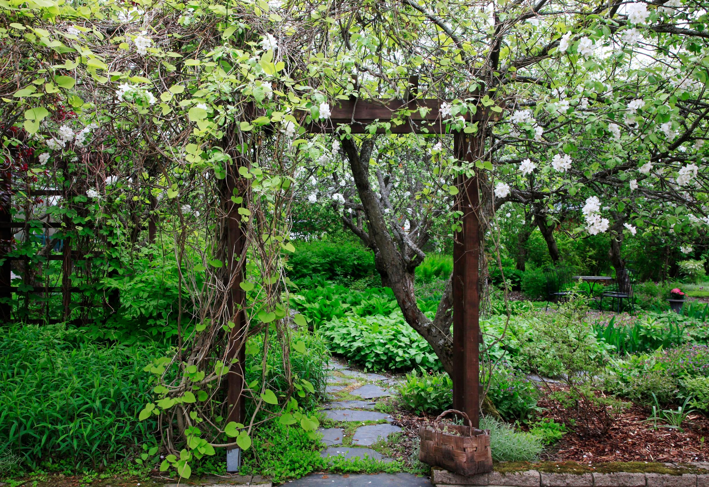 The trellises frame the views and lead from one space to another.