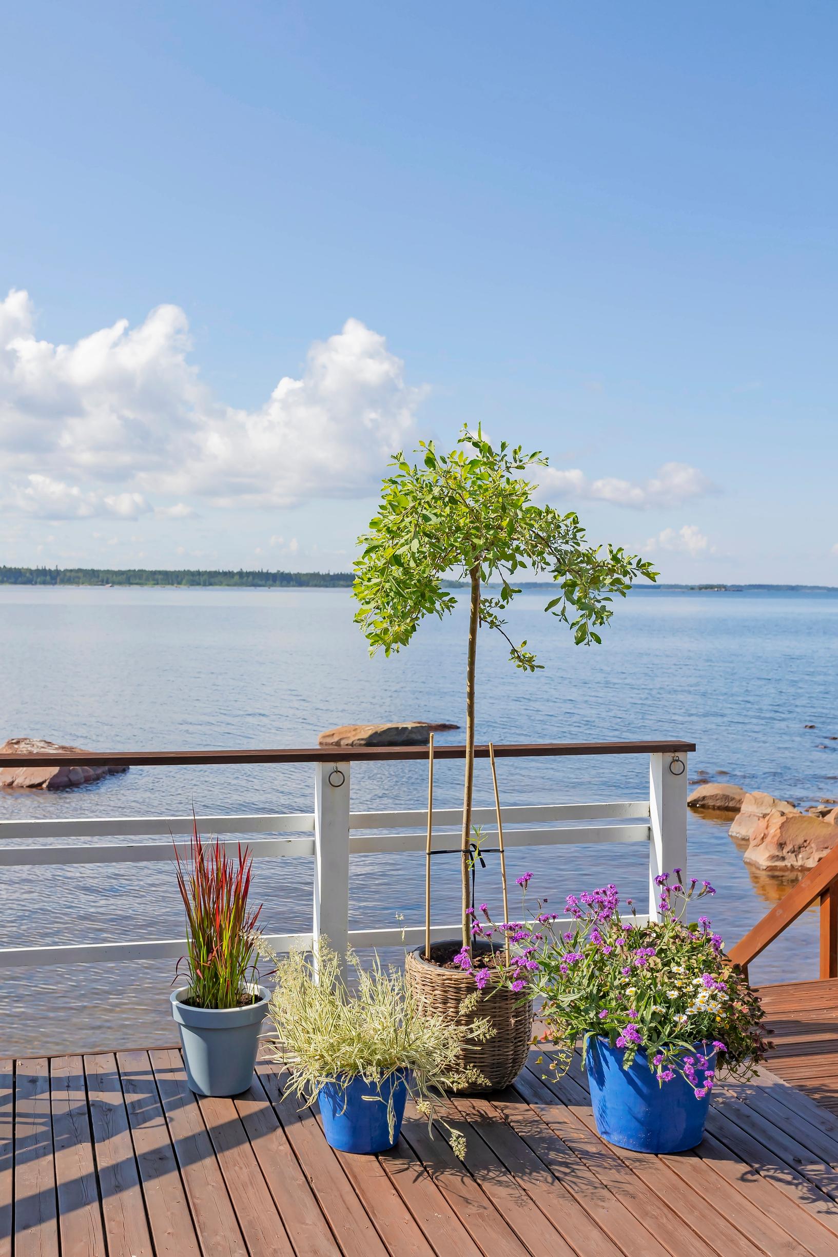 potted plant arrangements on the terrace and a sea view