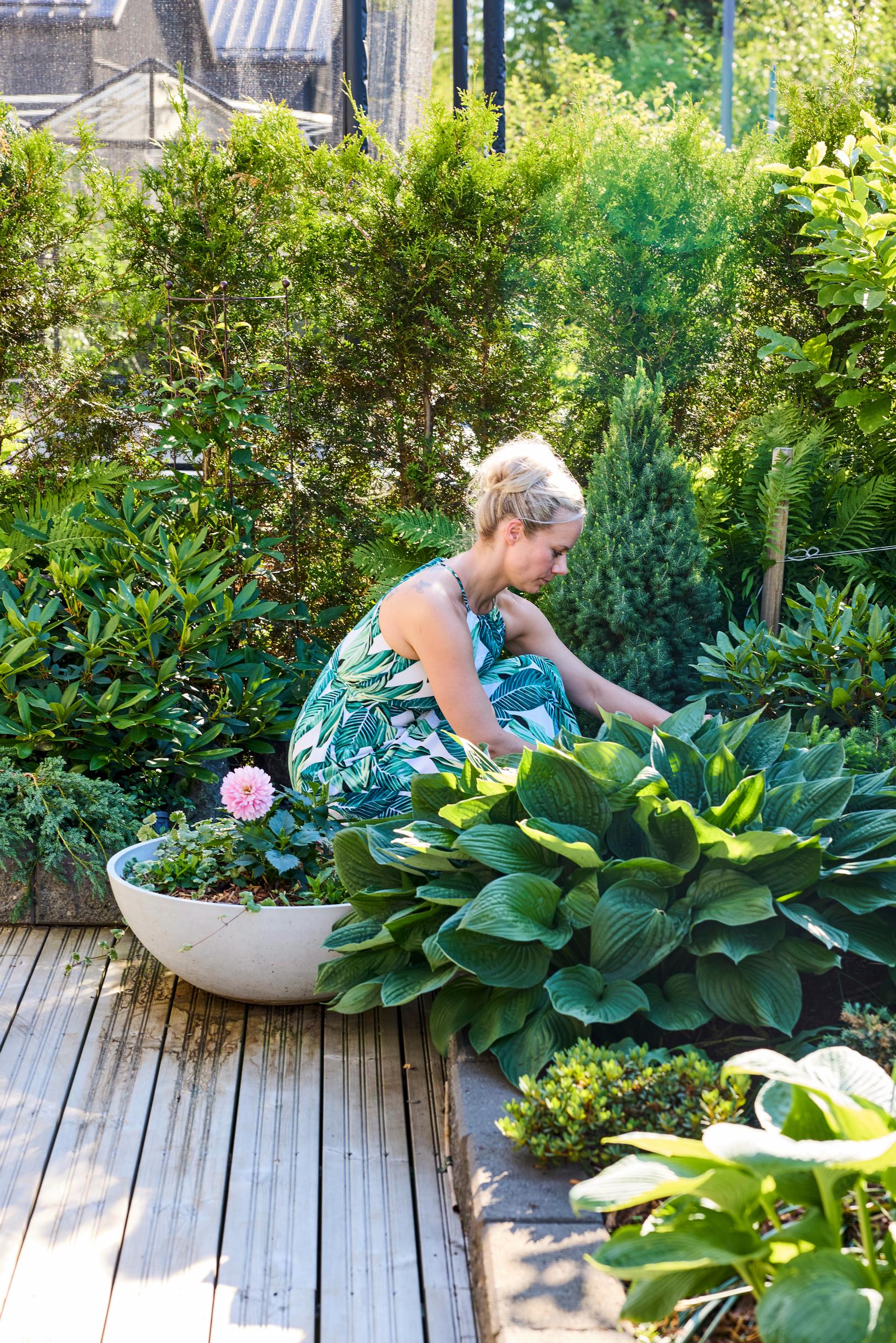 500-square-meter yard