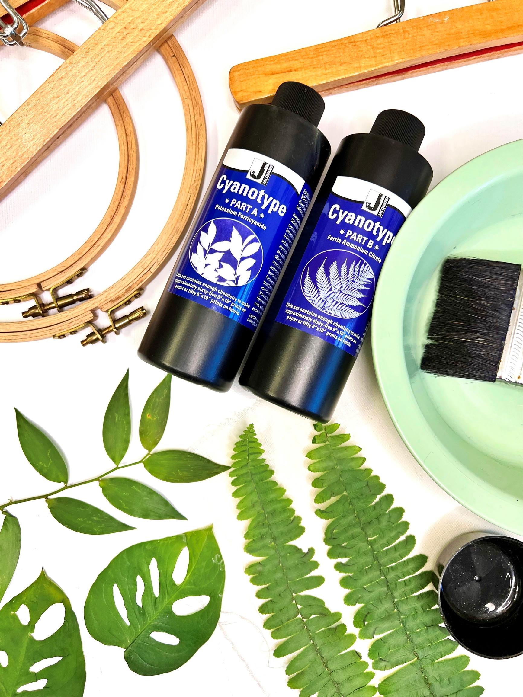 Cyanotype tutorial supplies