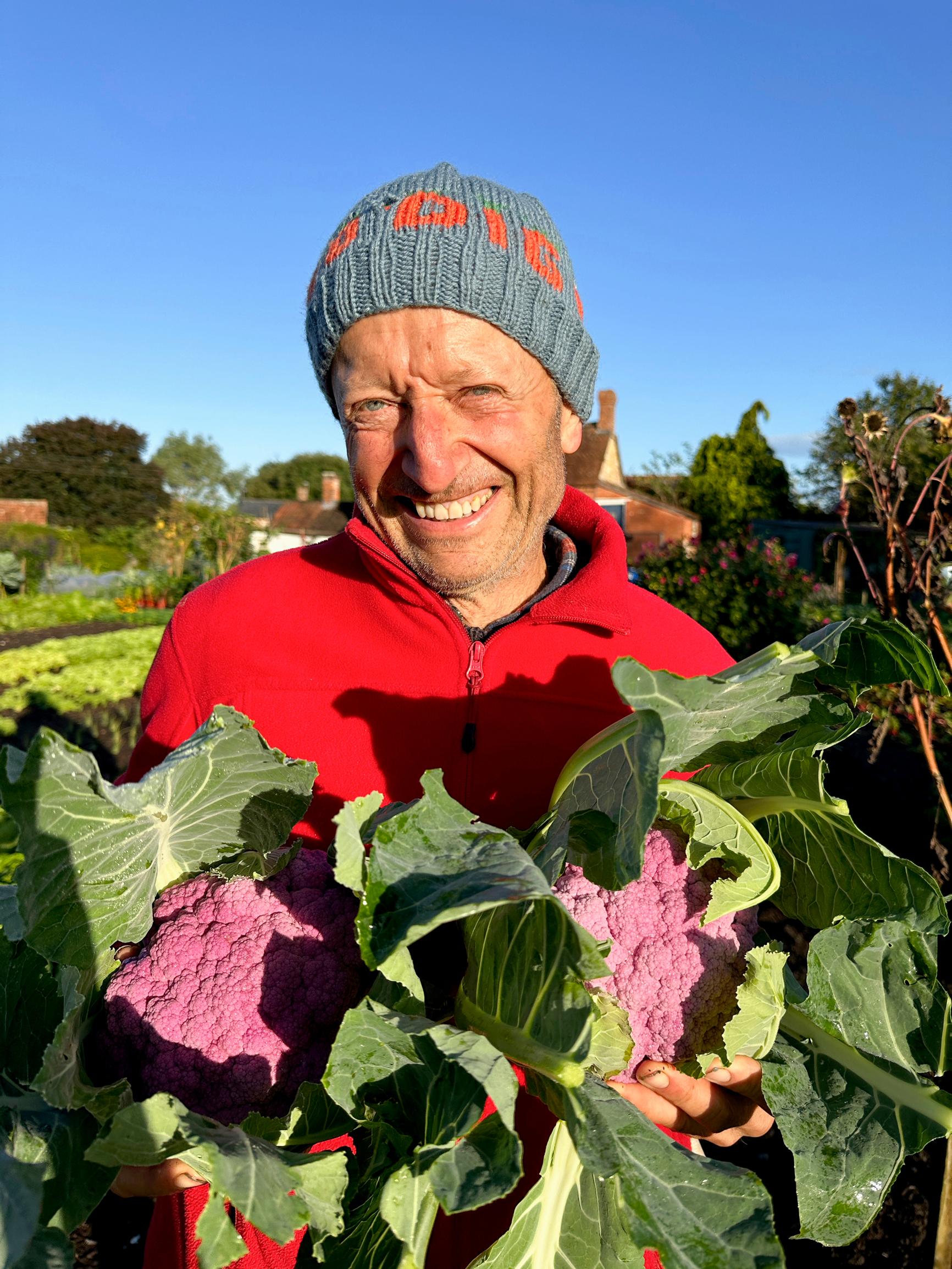 Charles picked ‘Purple Graffiti’ cauliflower in October.