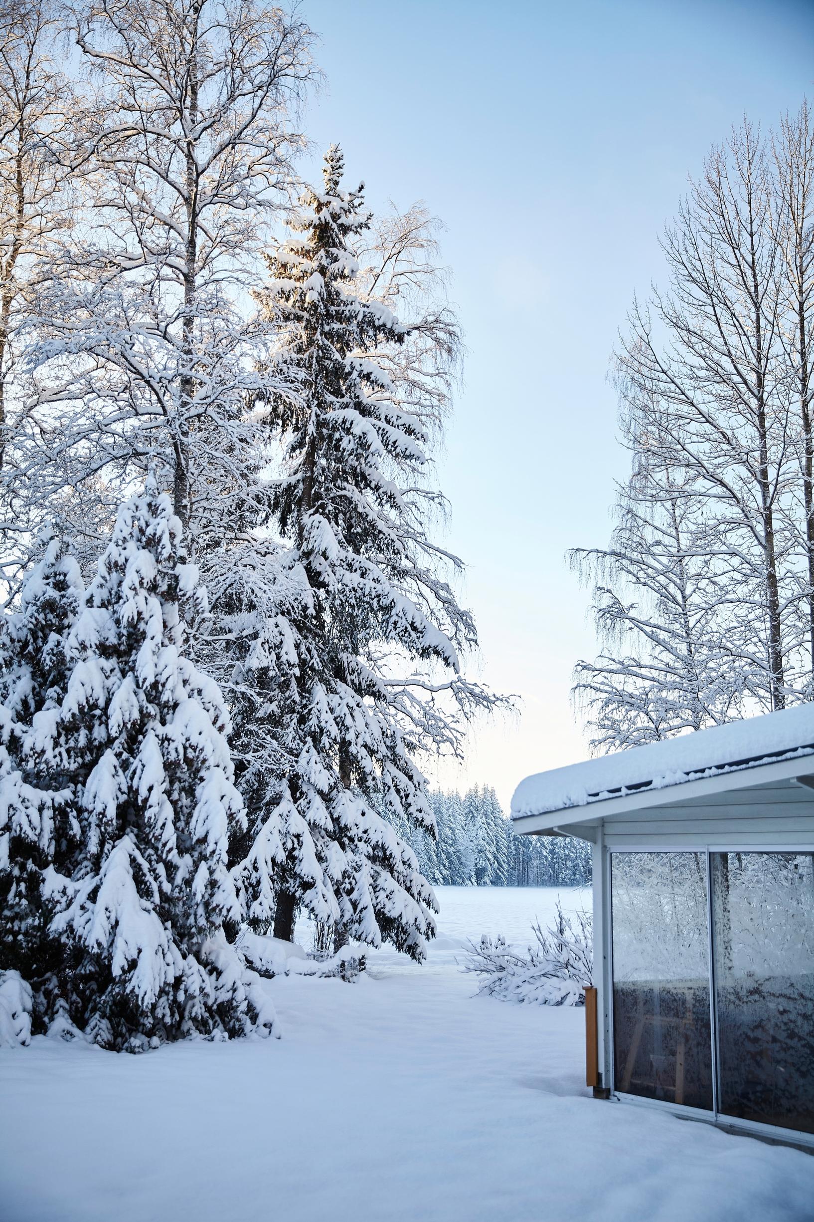 a snowy forest edge and a lake view, with a corner of the house’s terrace