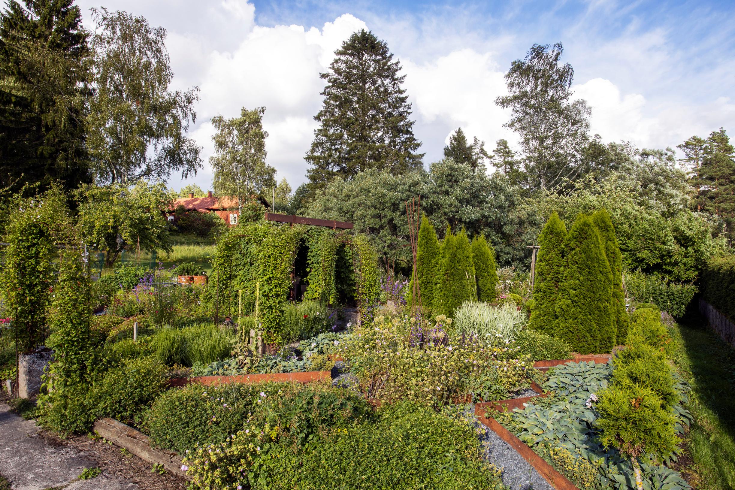“I promised I would make my mother’s final garden”—in Maje’s backyard, generations of memories meet her playful spirit