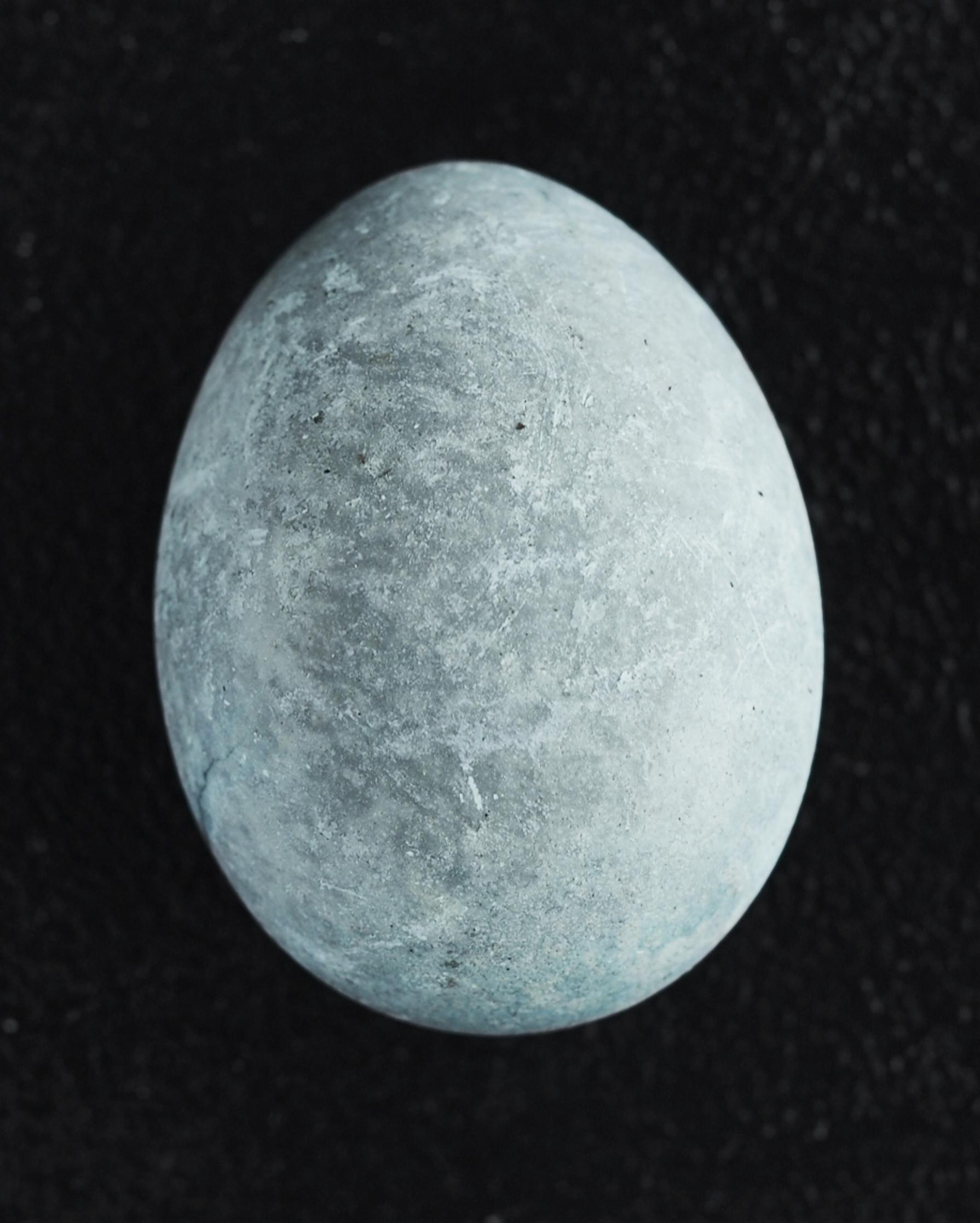 Egg dyed with lingonberries
