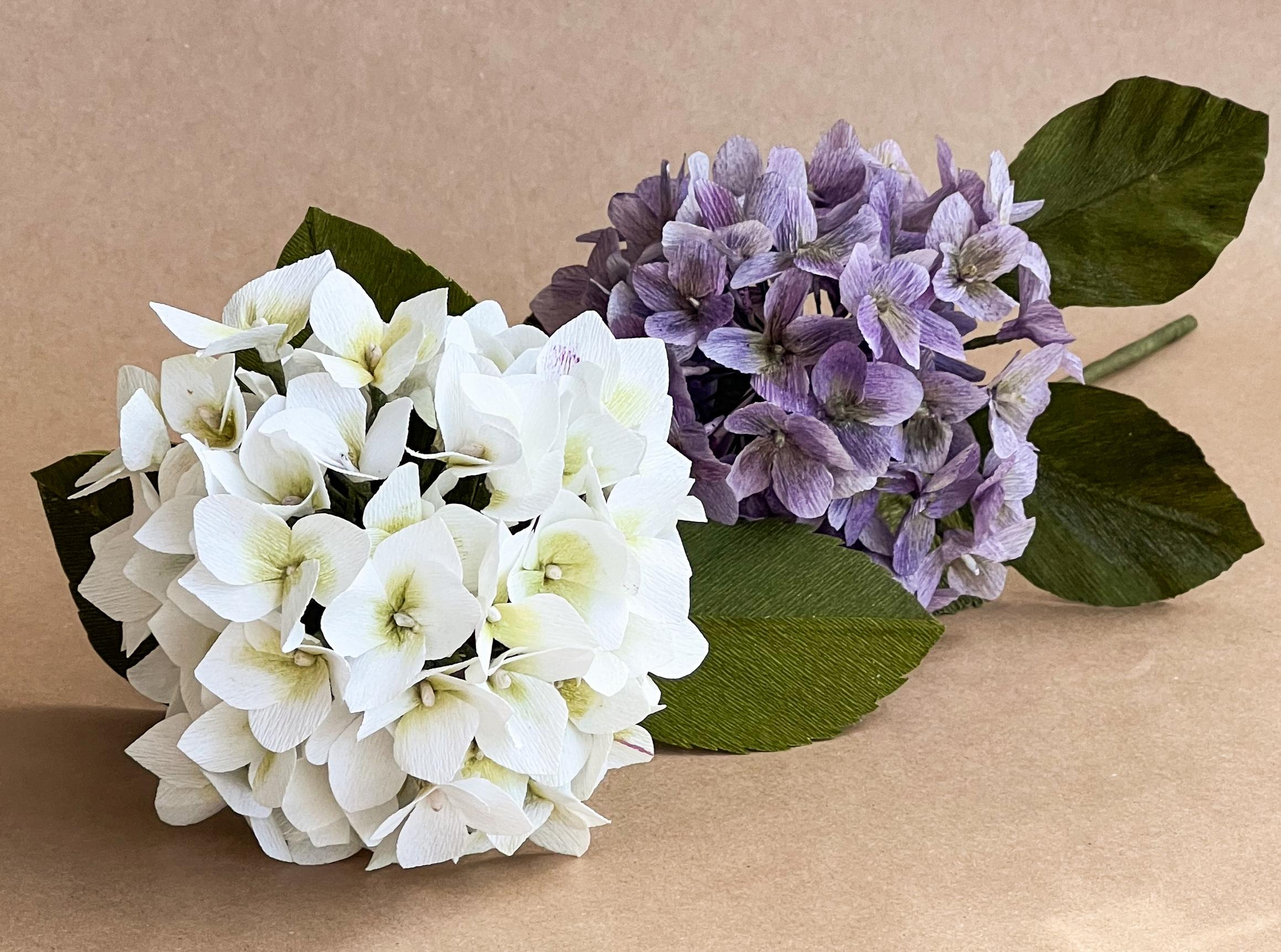 White and purple paper hydrangea
