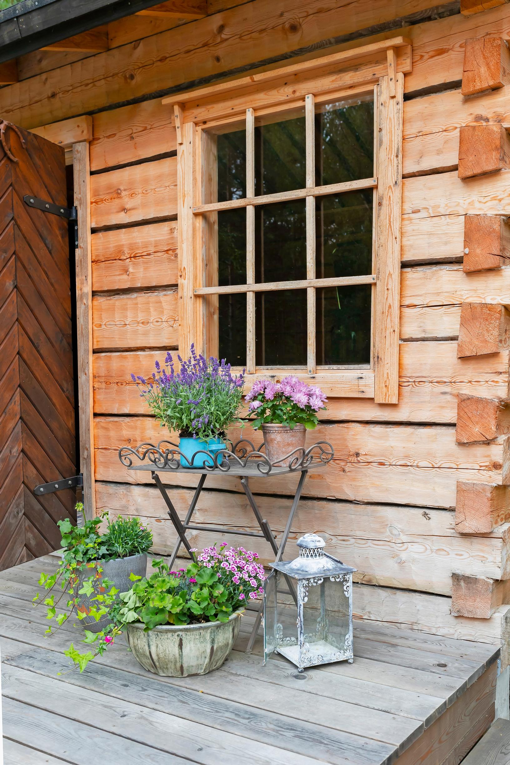 summer flower plantings on the terrace of a log sauna cabin