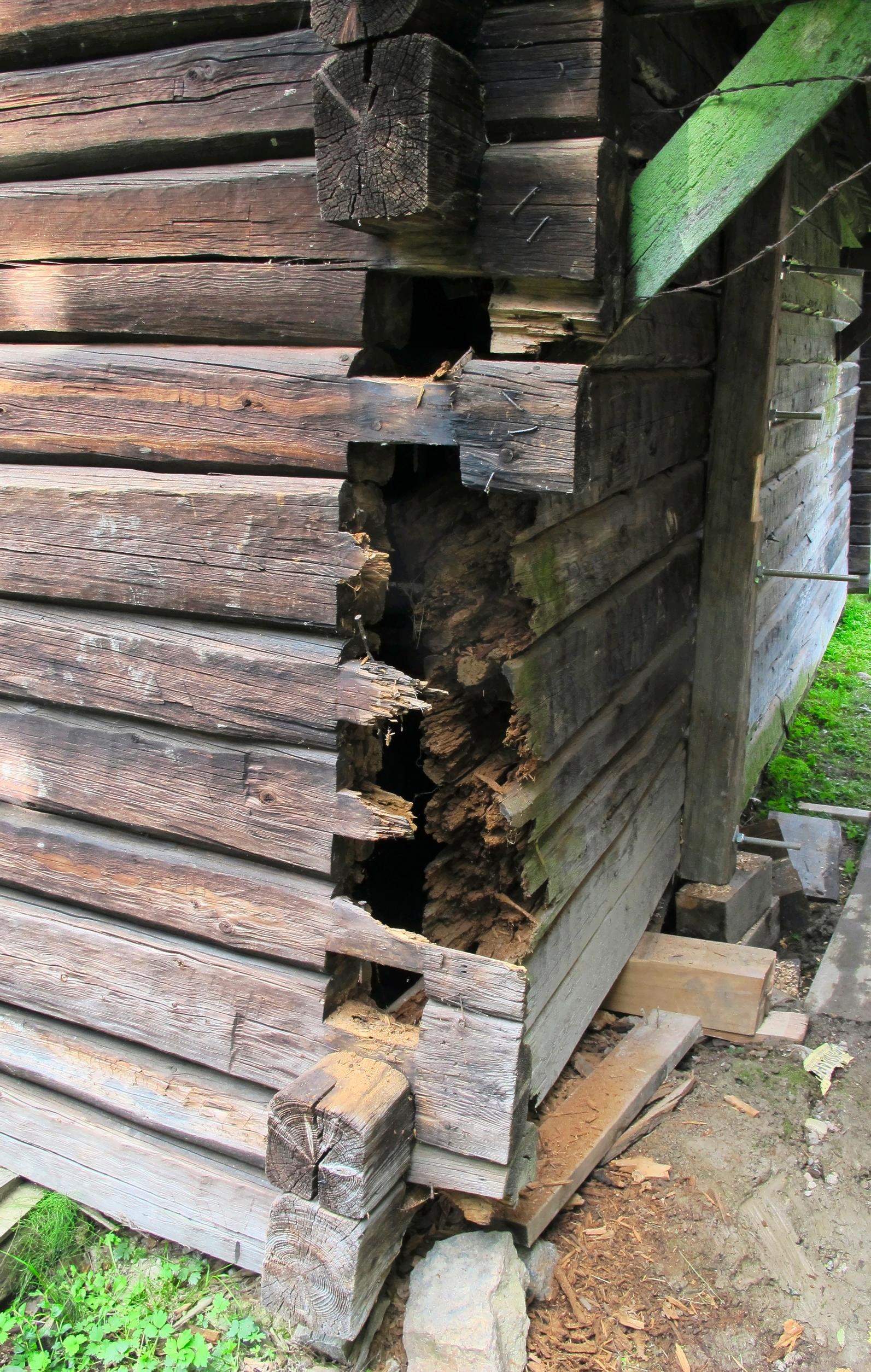 How to repair dry rot: Rotted cowshed corner structure