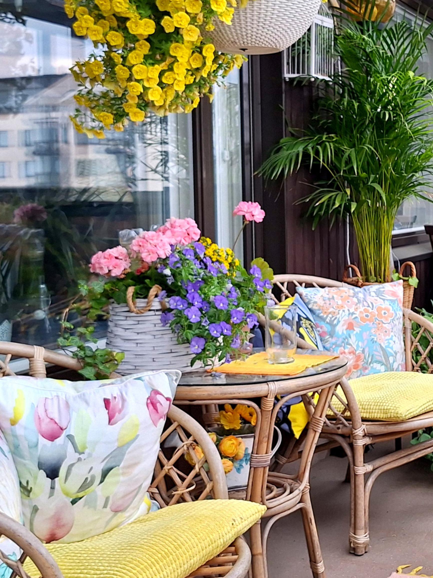 3 × delightfully colorful balconies! “Some guests are left speechless”