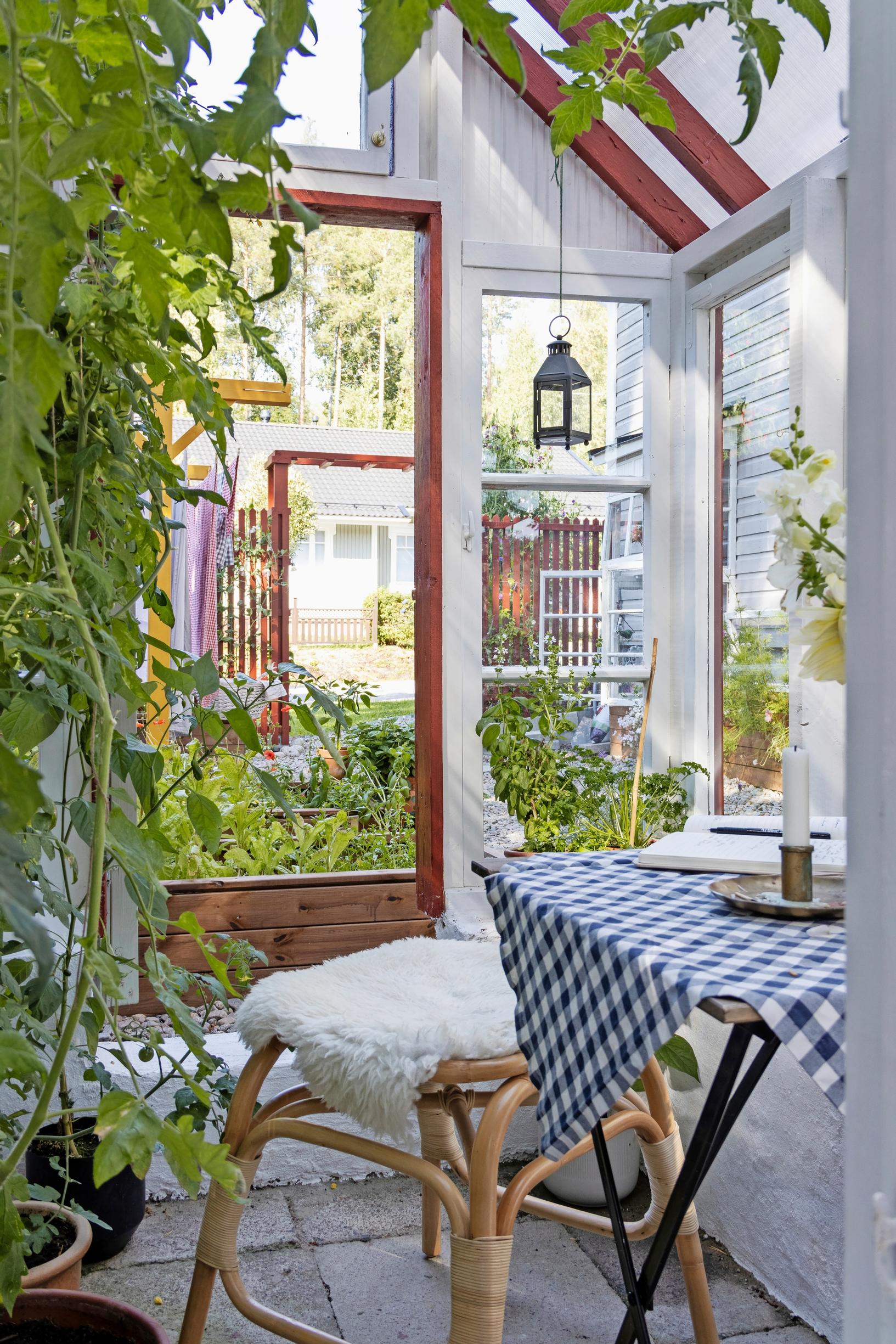 Photo of the homemade greenhouse interior.