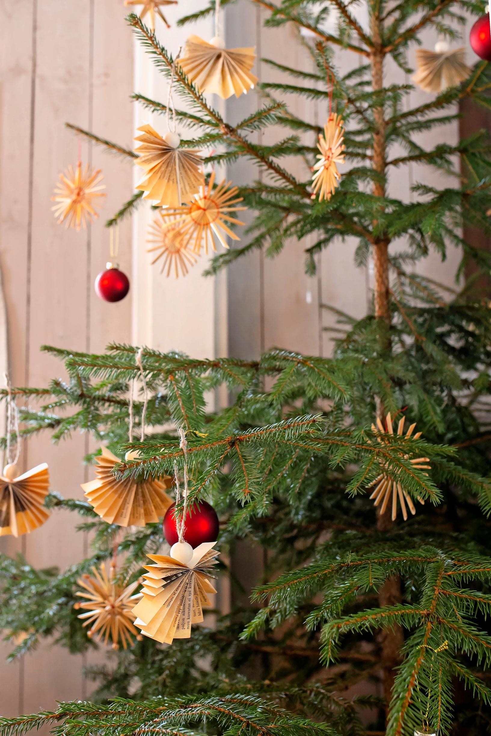 Old Christmas tree ornaments in the branches.