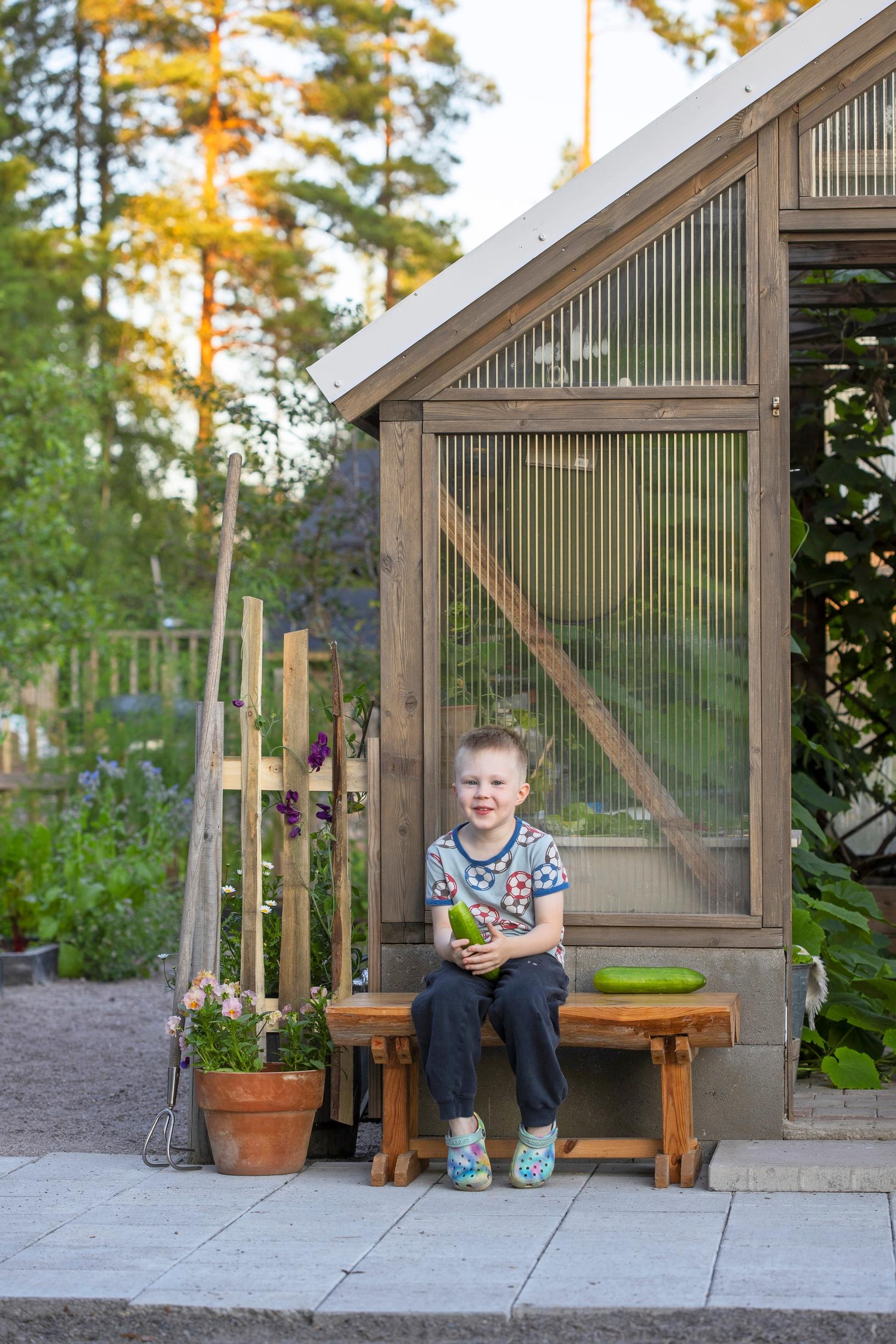 Eino helps himself to treats in the kitchen garden.