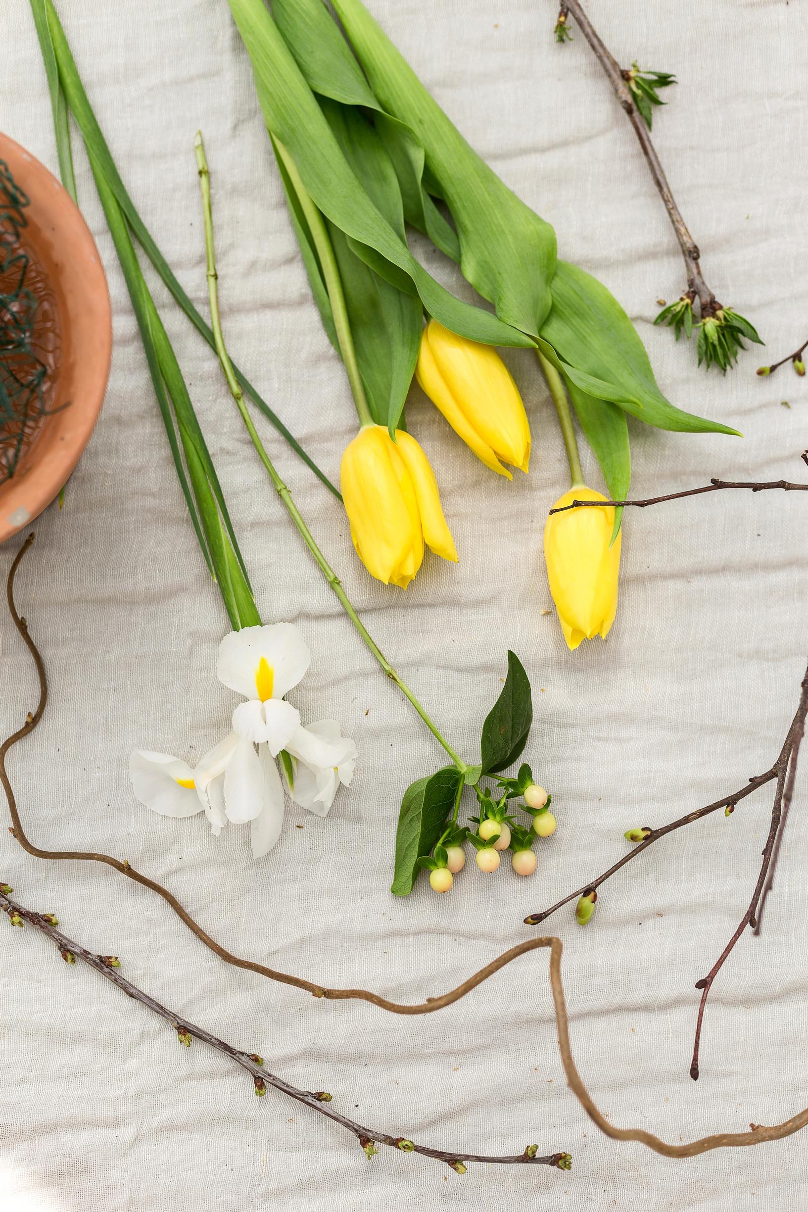 Tulip arrangement supplies