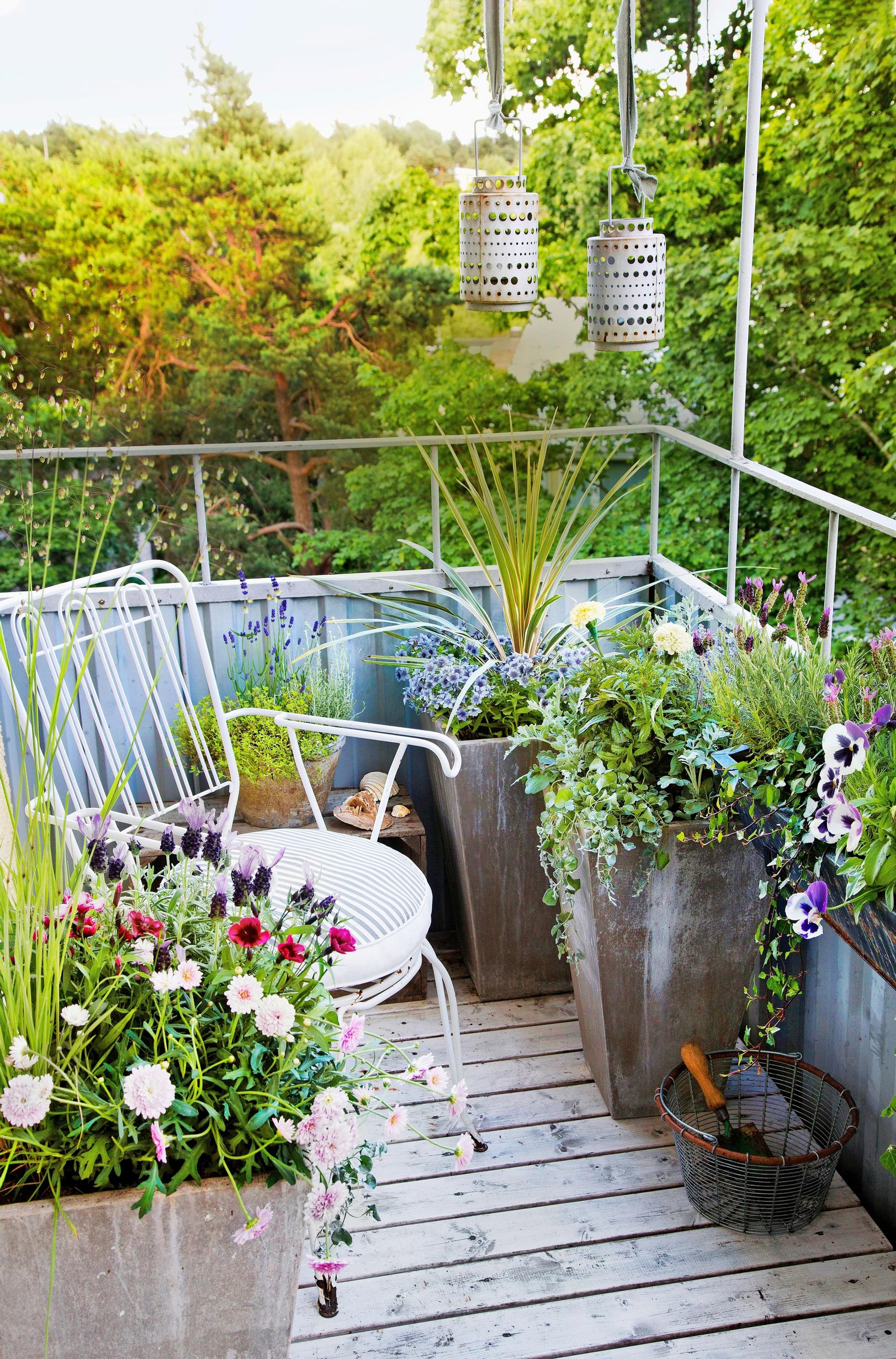 inspiration for summer flower plantings