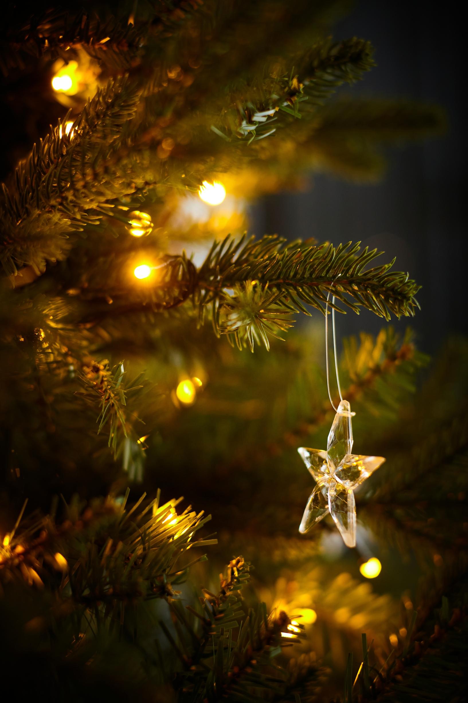 a glass star ornament on a Christmas tree branch