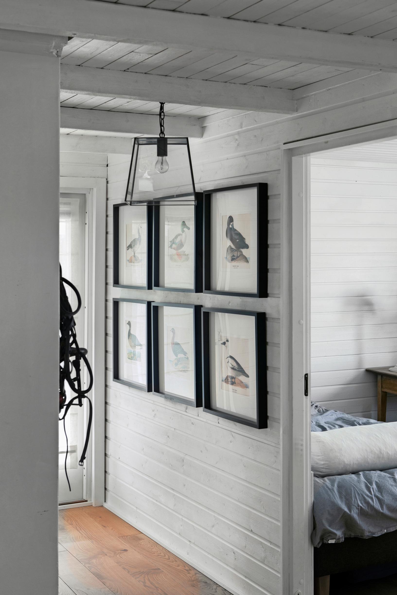a row of bird prints on the wall