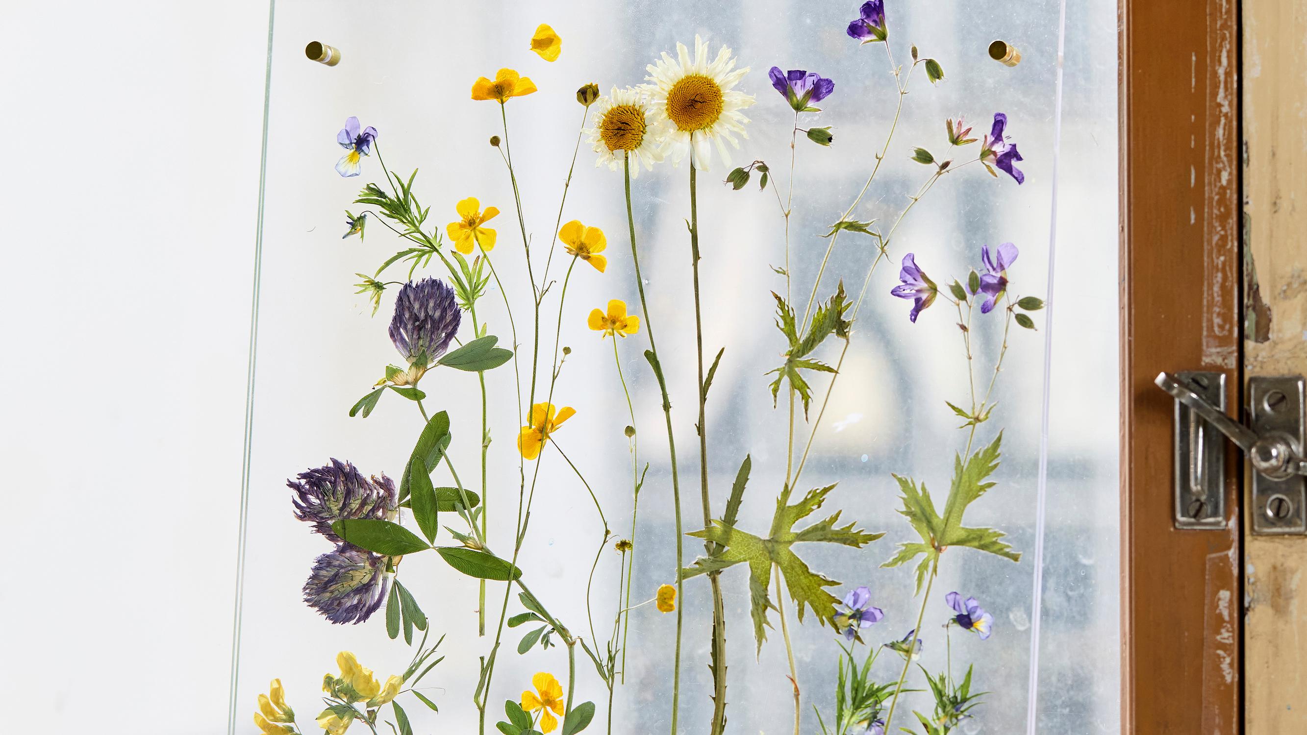 Dried flower artwork—press flowers and create a summery piece