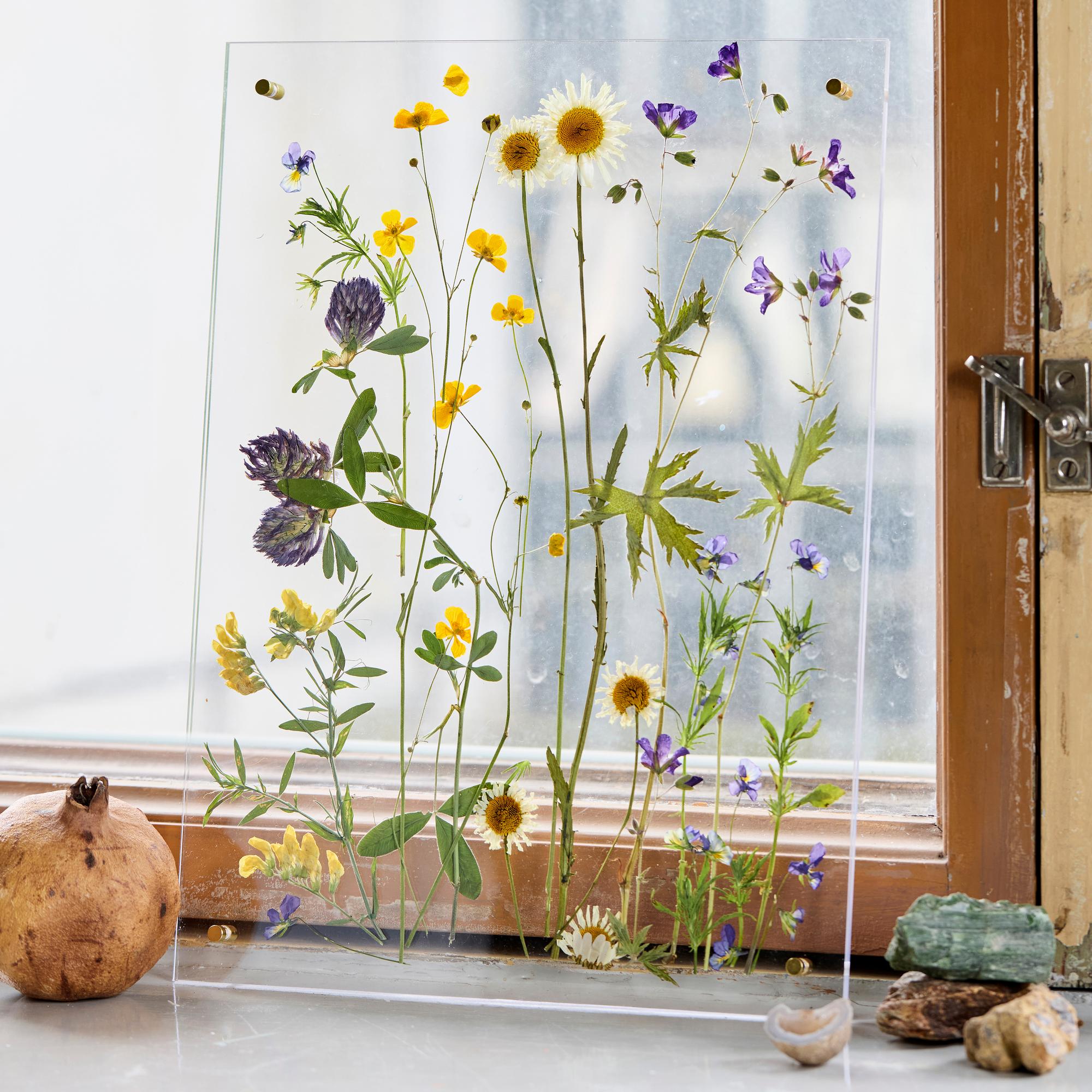 Dried flower artwork—press flowers and create a summery piece
