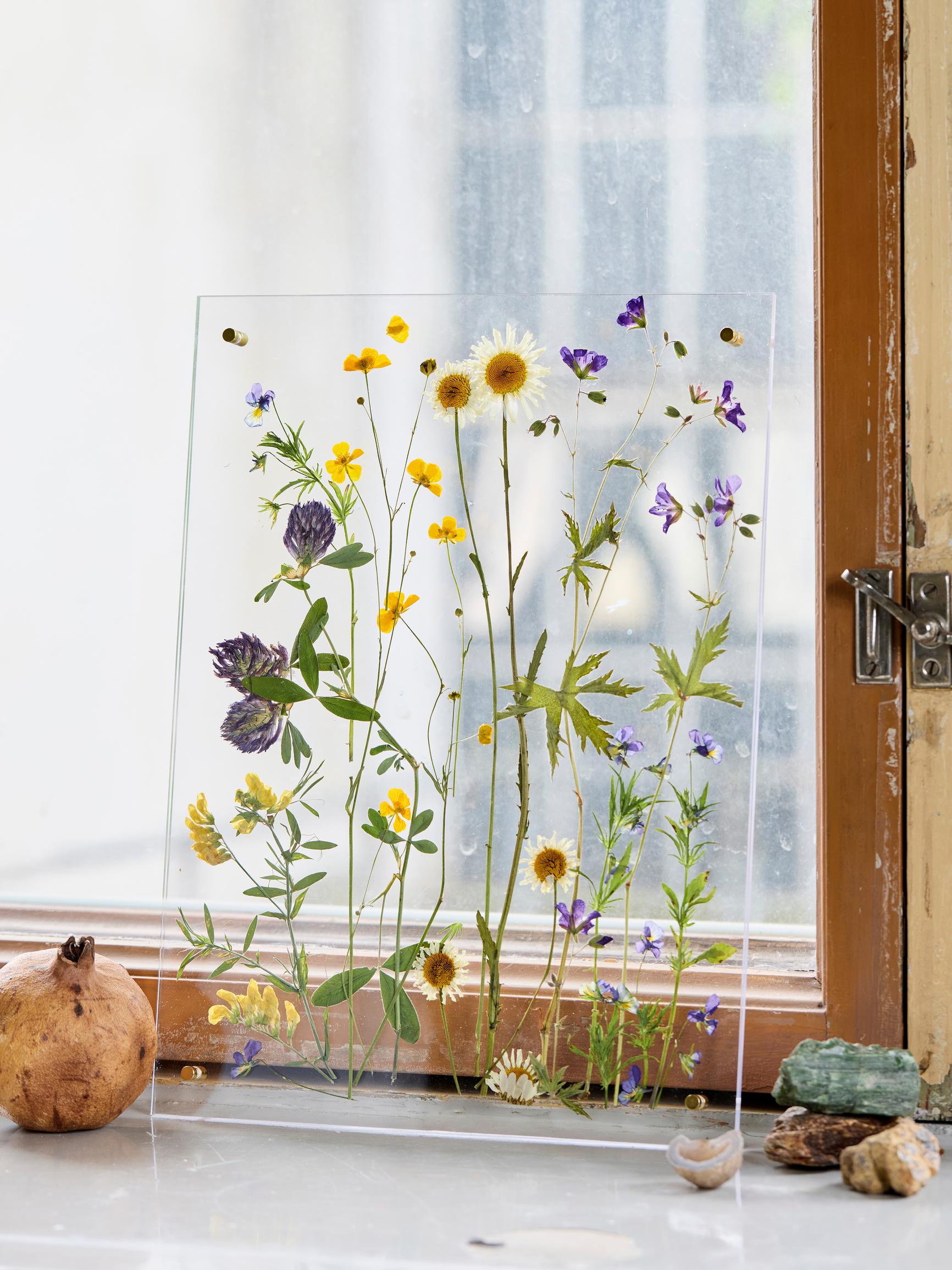 Dried flower artwork—press flowers and create a summery piece