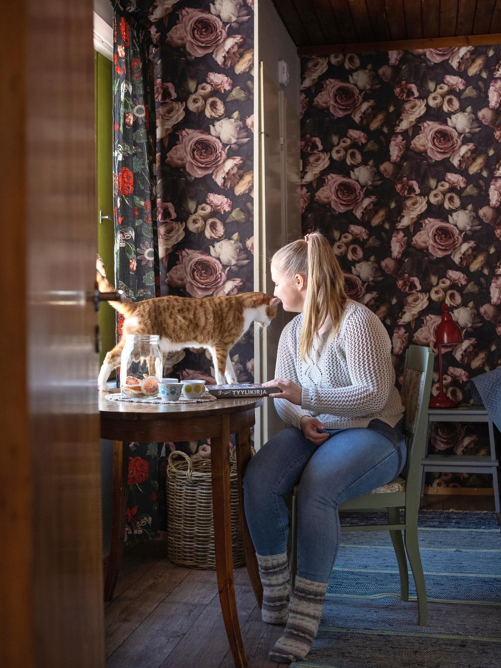 A cat on a table nuzzling its owner’s chin