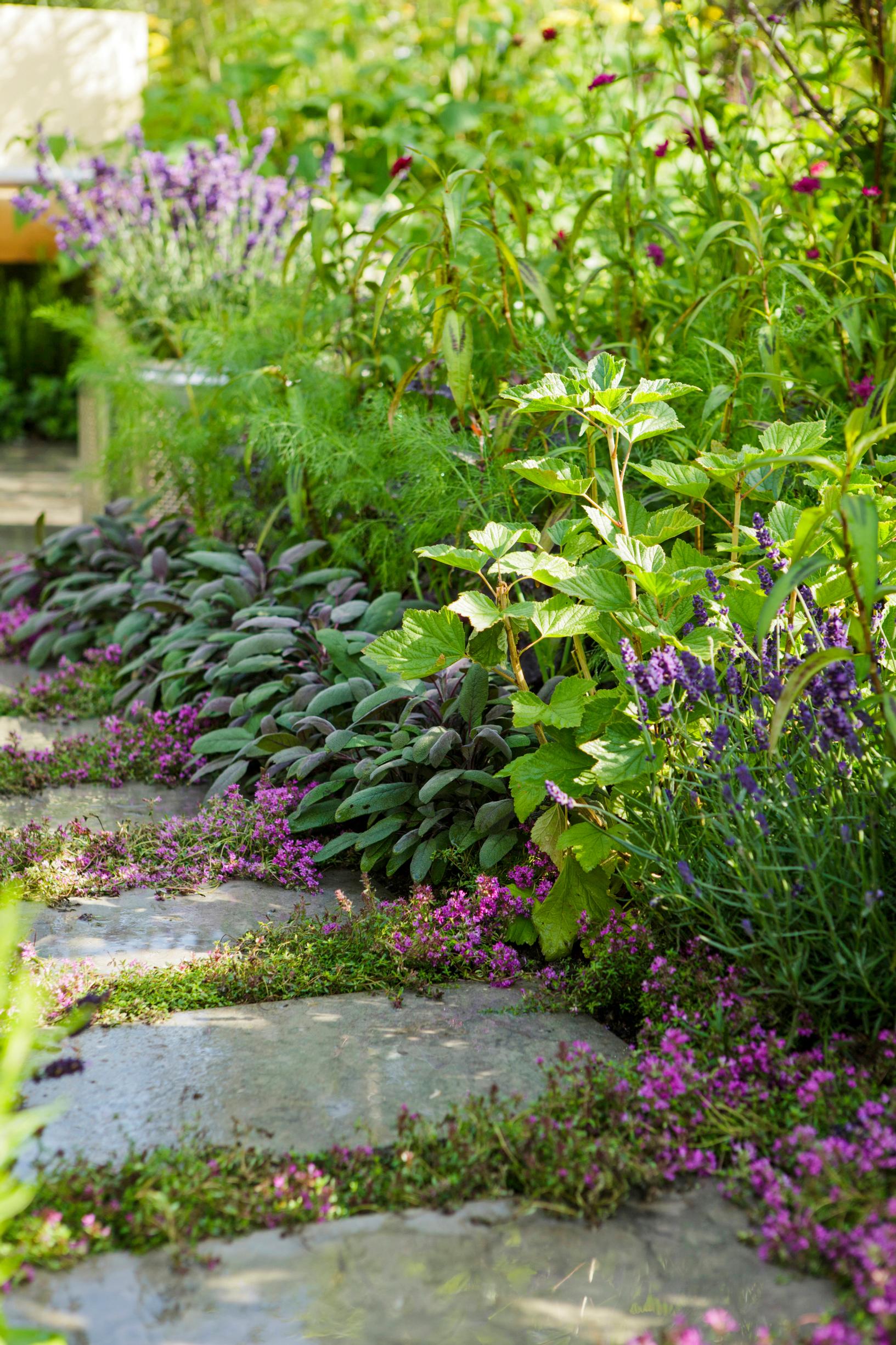 Inspiring garden paving ideas