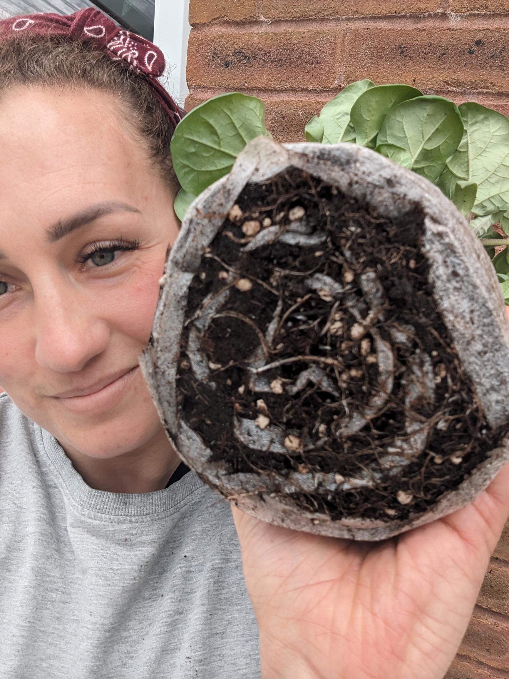 Farida Sober and a seed snail roll