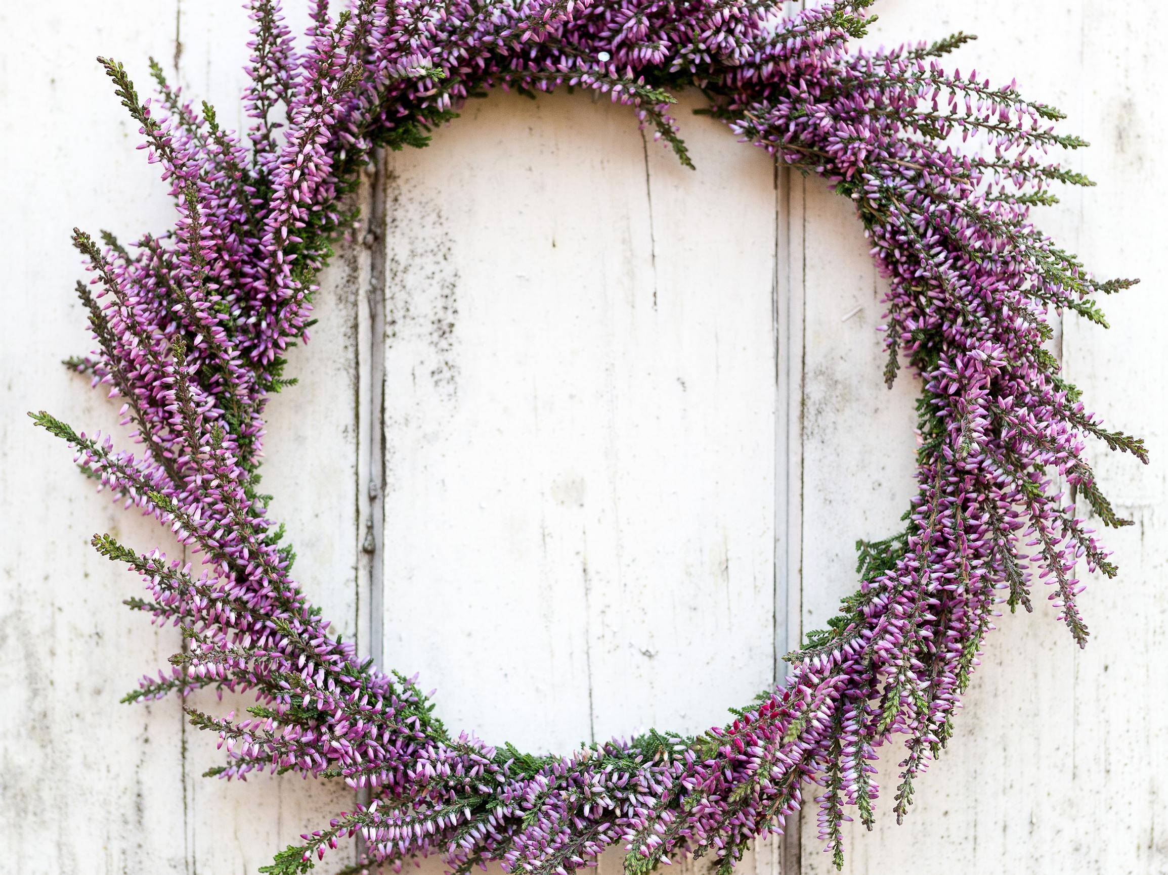 Craft a lasting heather wreath for autumn