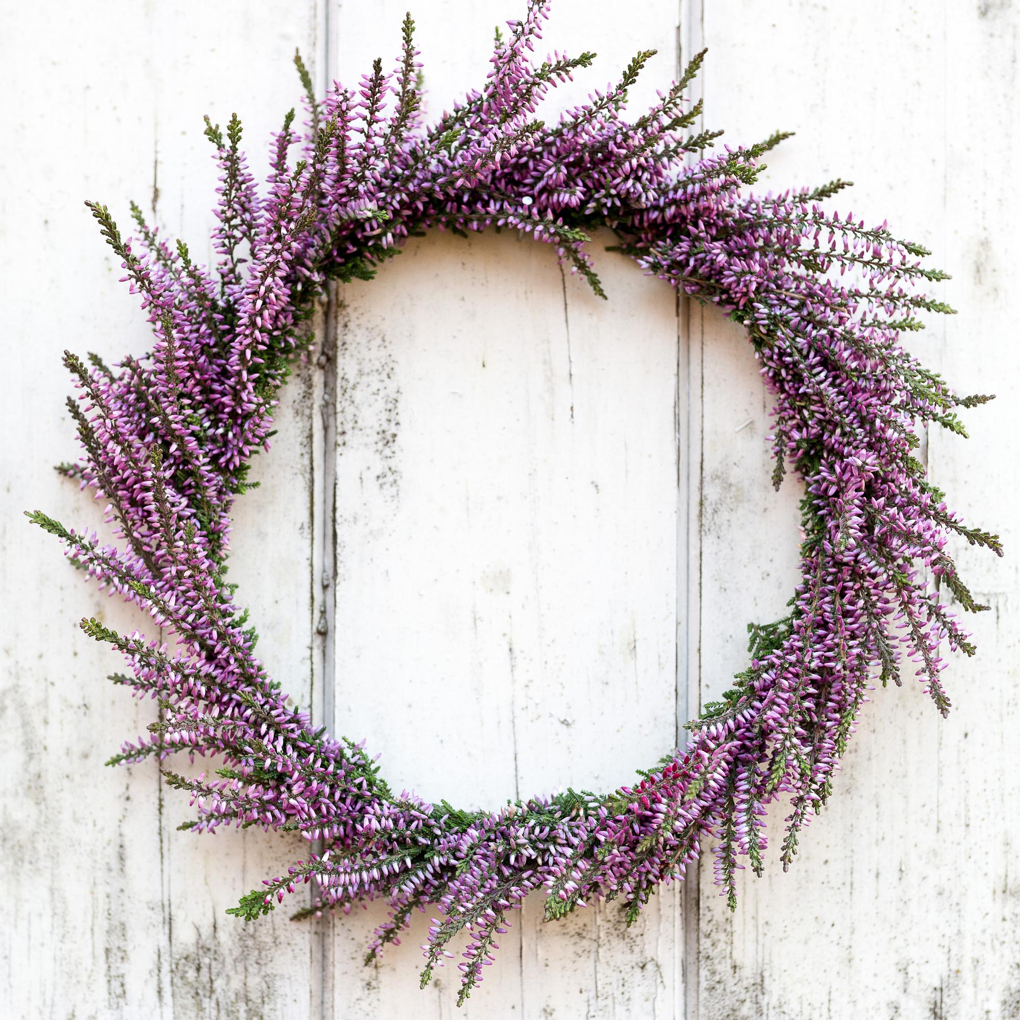 Craft a lasting heather wreath for autumn