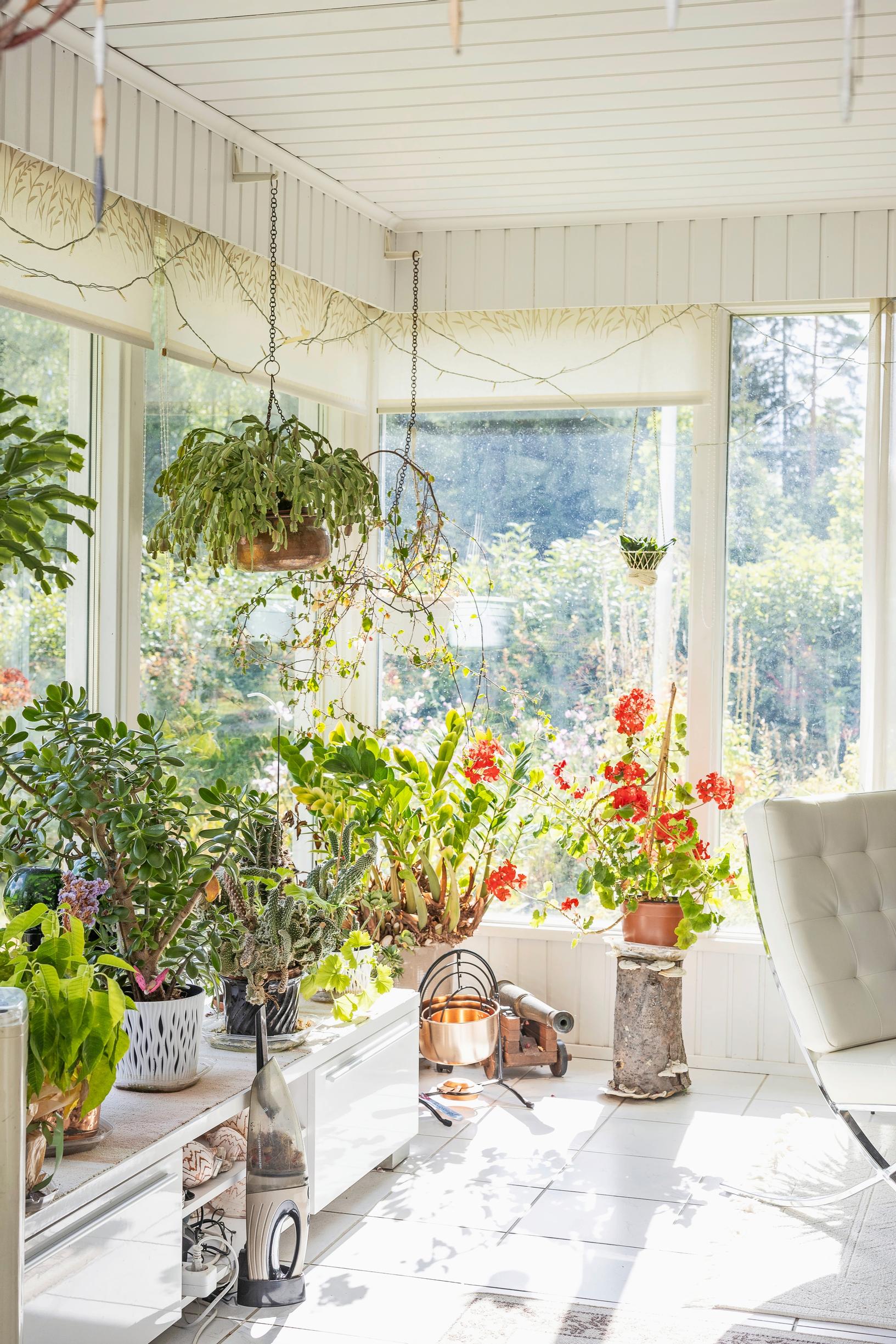 A 100-year-old veteran’s garden