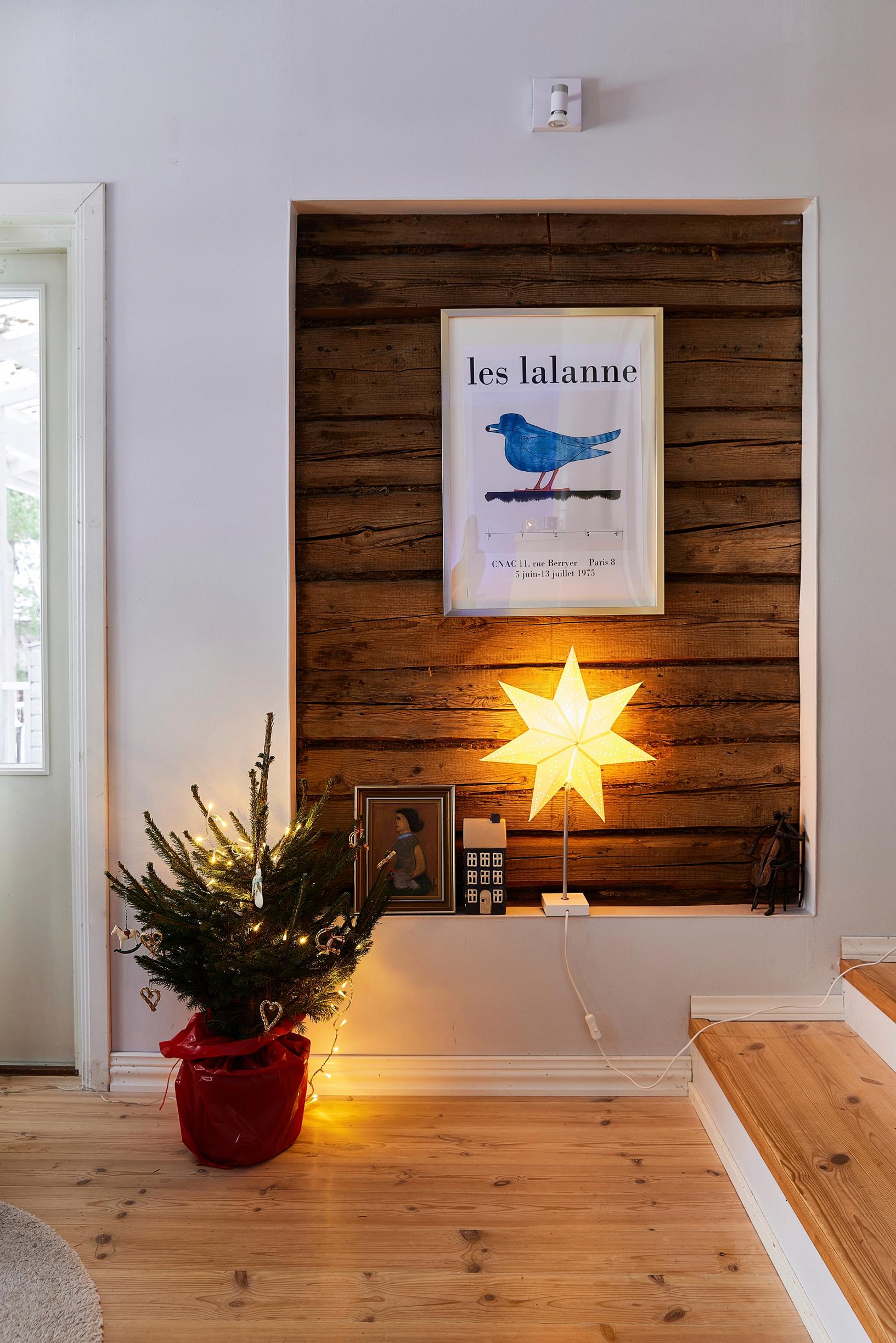 Small spruce tree in a pot on the floor