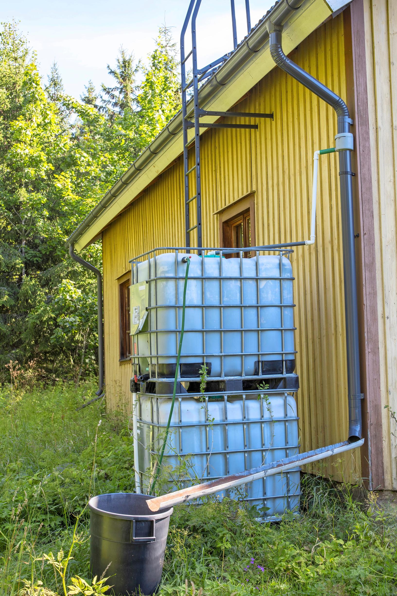 Collect and store rainwater for watering.