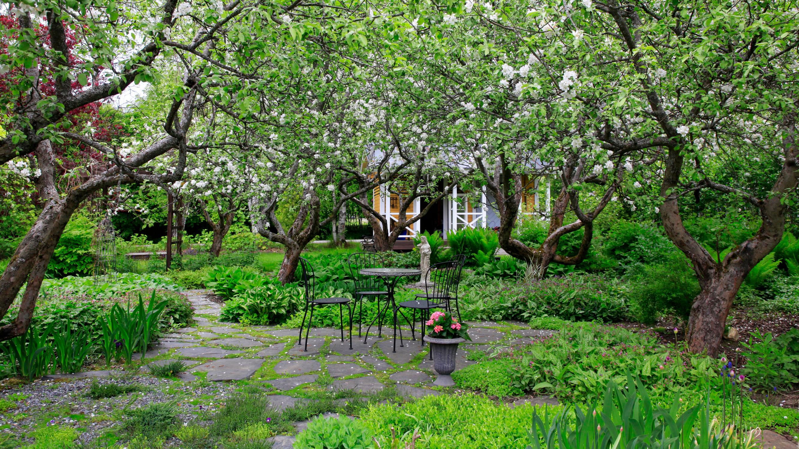 An orchard overrun by couch grass was brought back into bloom