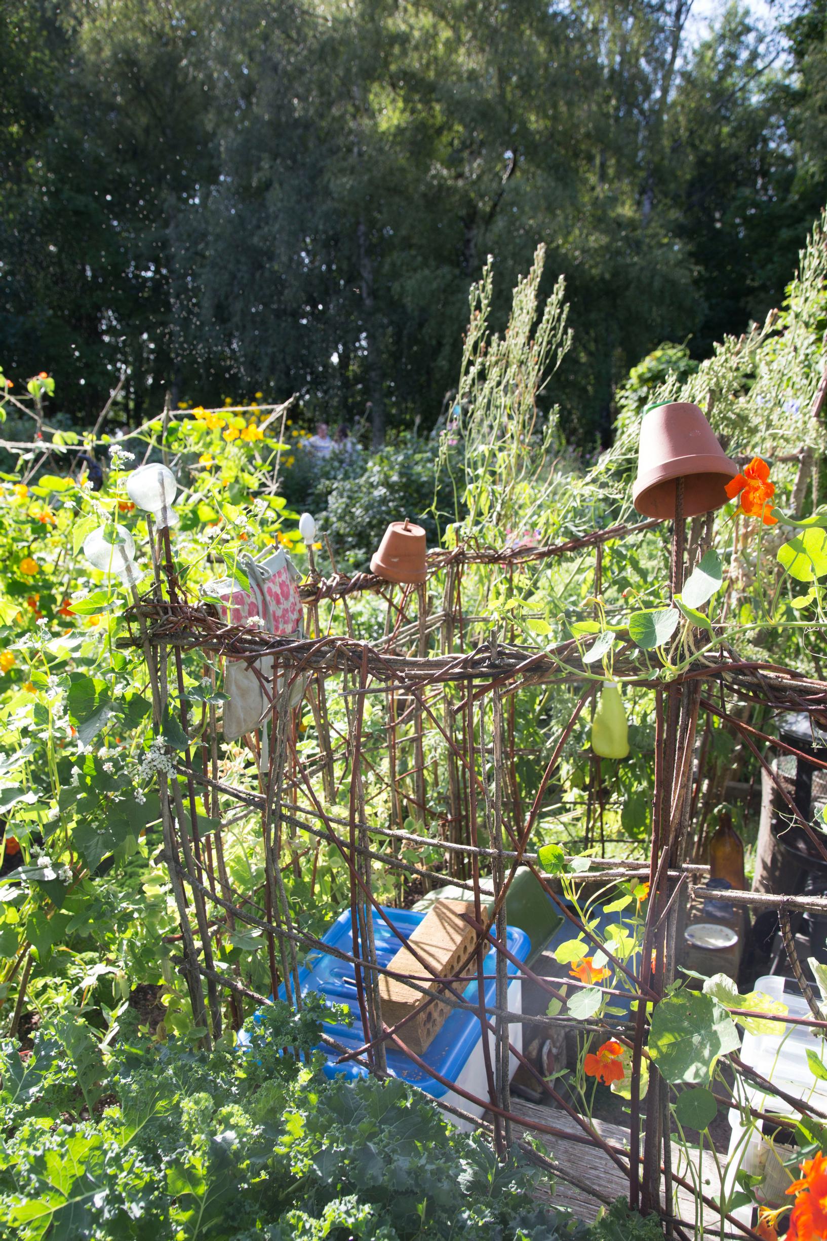 A space divider made from branches in the garden