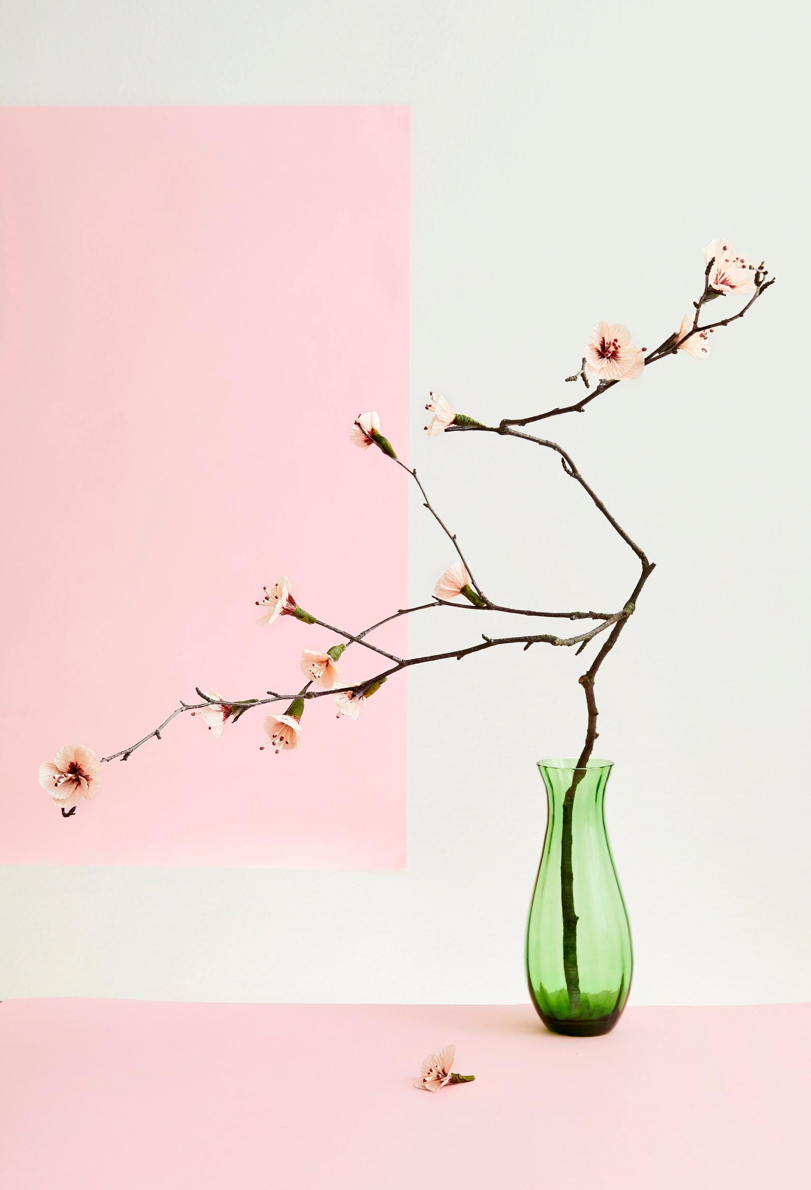 Paper cherry blossoms on a birch branch.