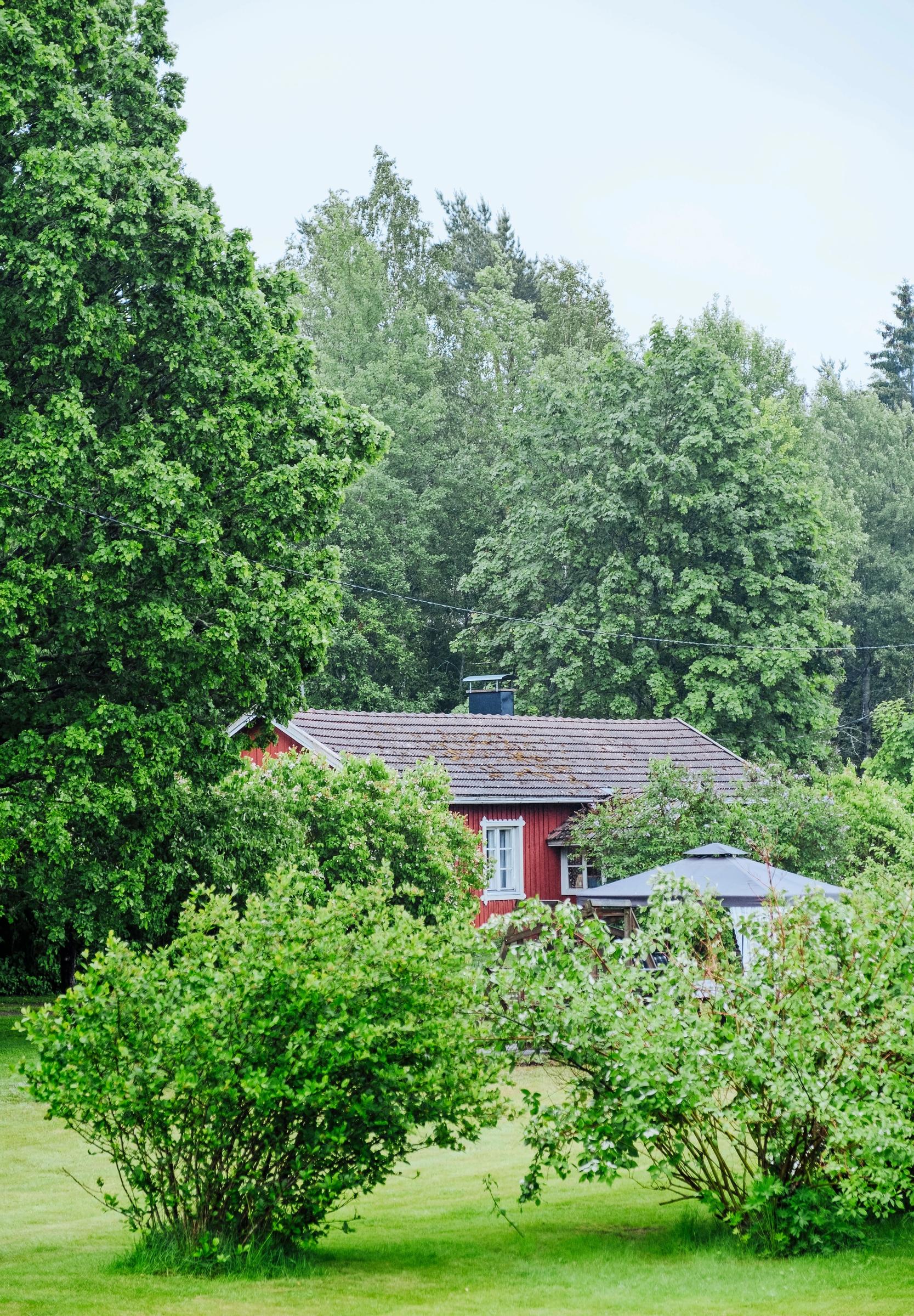 A red cottage among trees